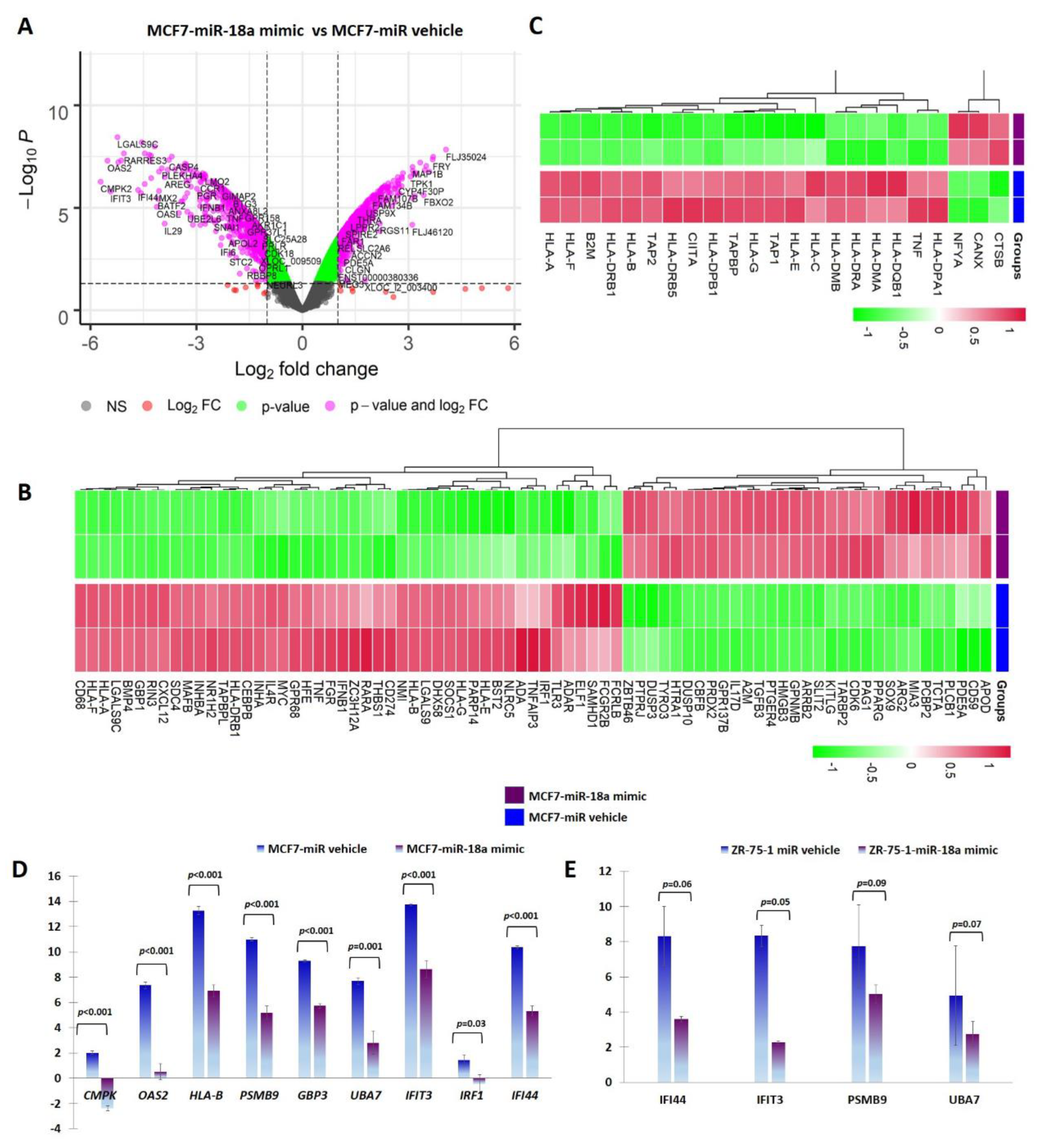 Cells 11 01672 g001 550