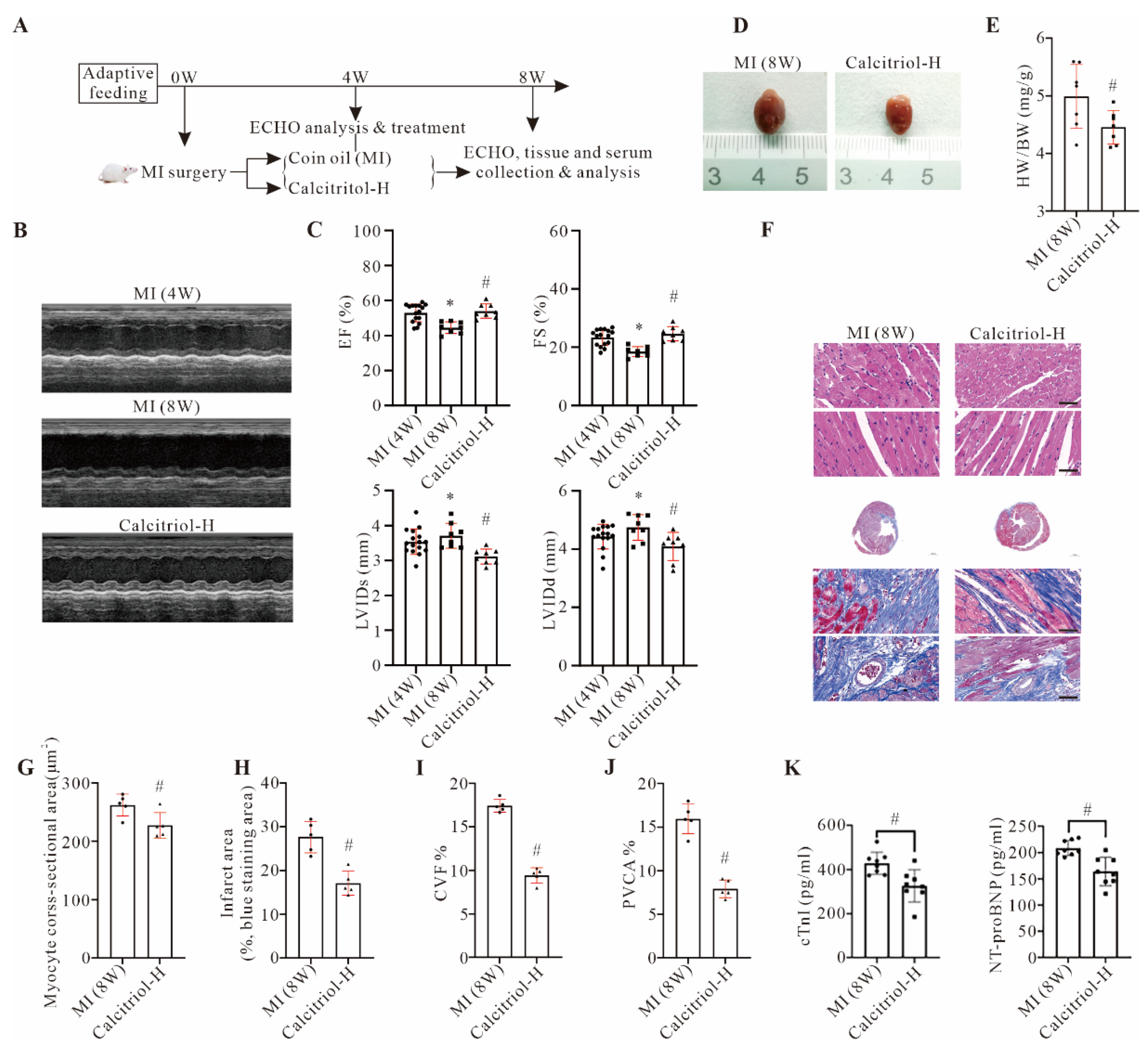 Cells 11 01676 g003 550