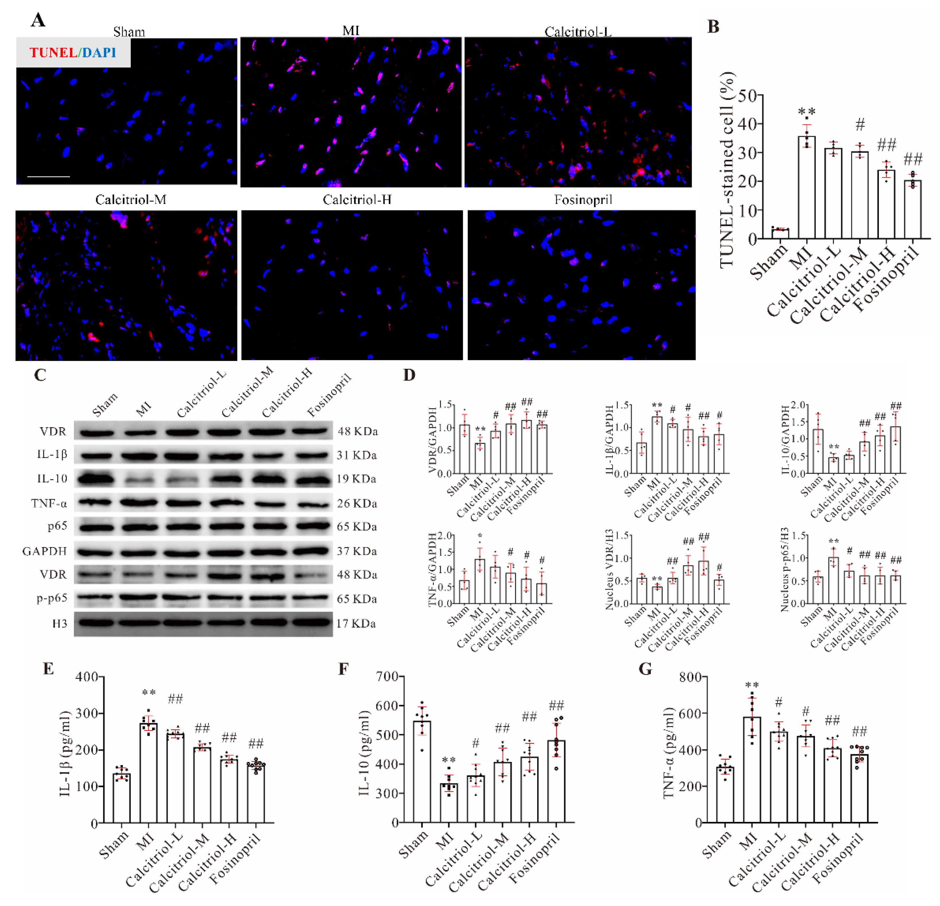 Cells 11 01676 g004 550