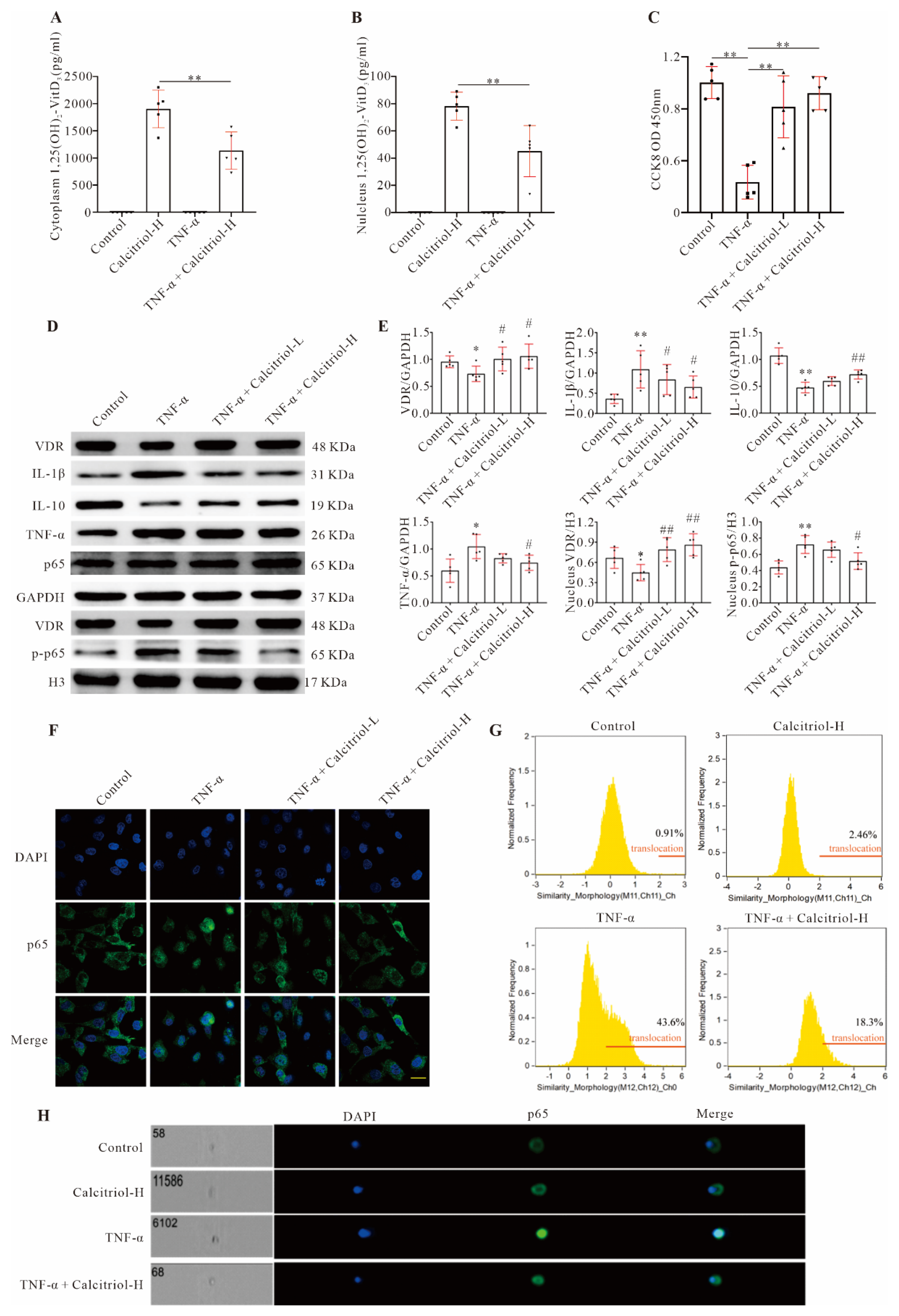 Cells 11 01676 g005 550