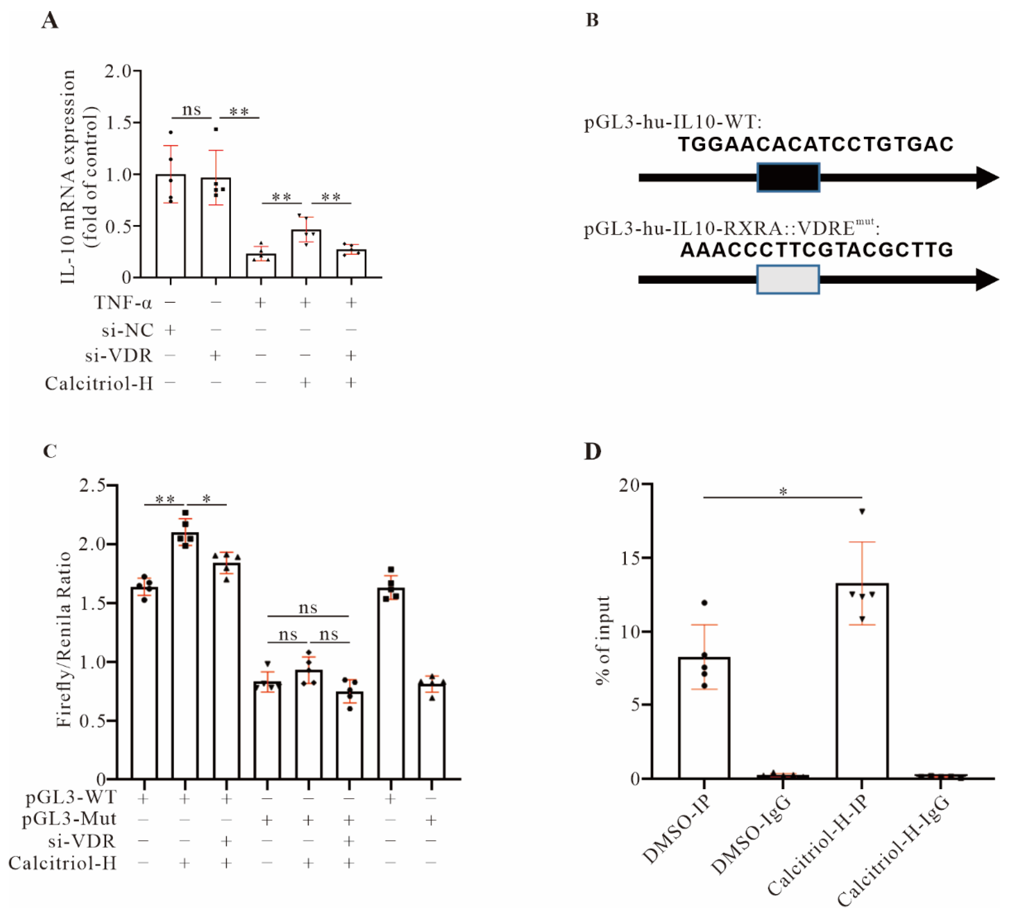 Cells 11 01676 g007 550