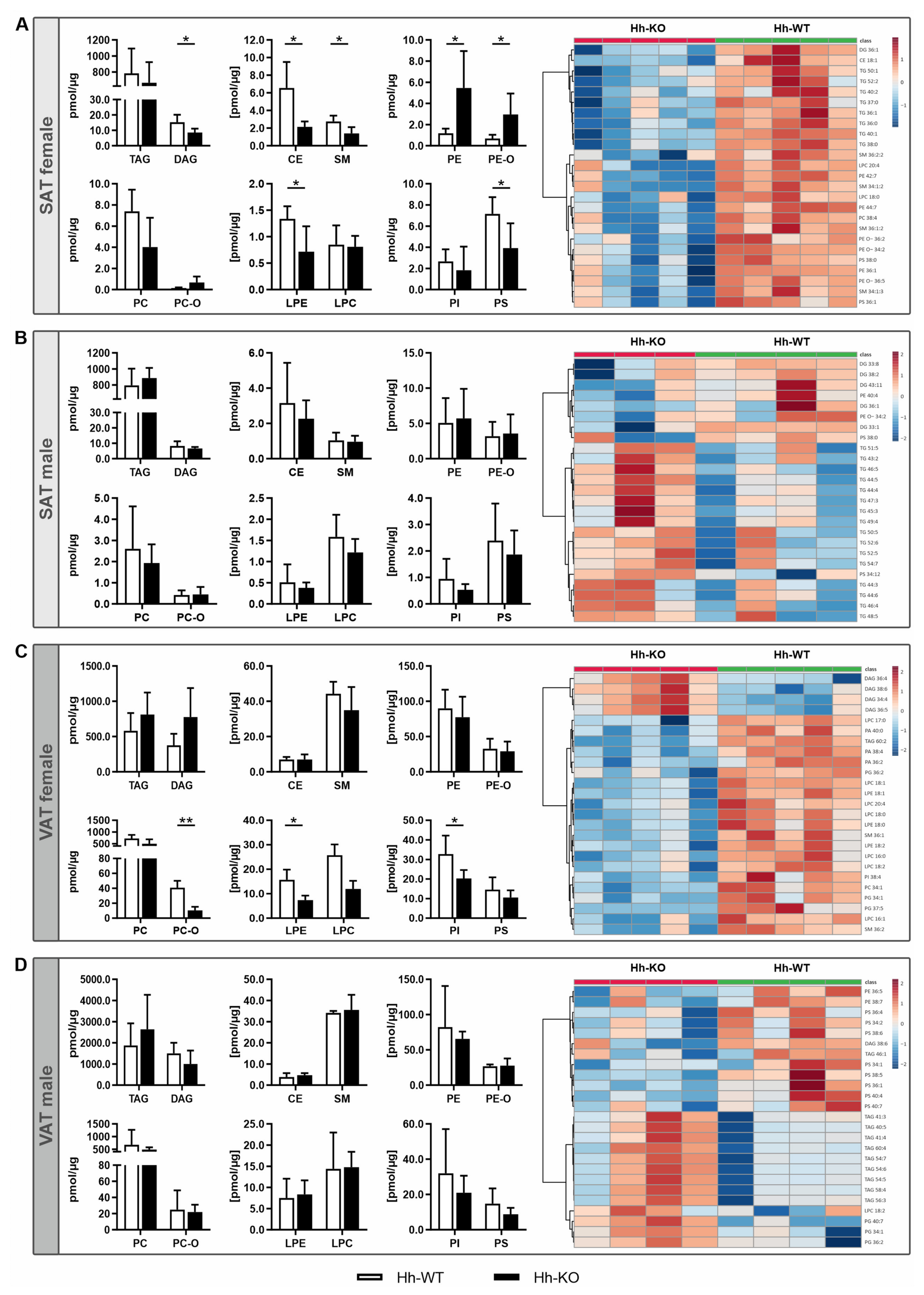 Cells 11 01680 g002 550