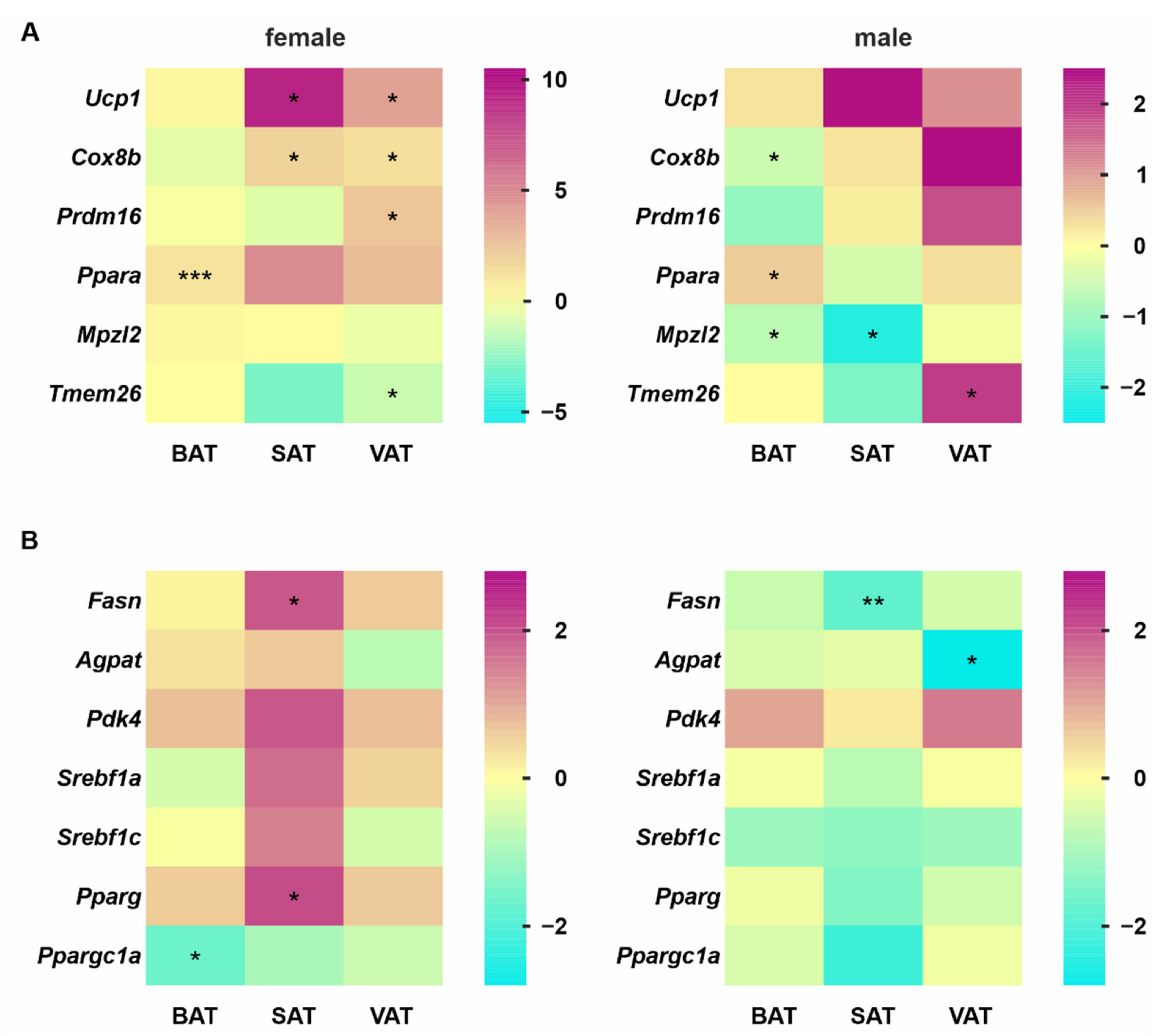Cells 11 01680 g004 550