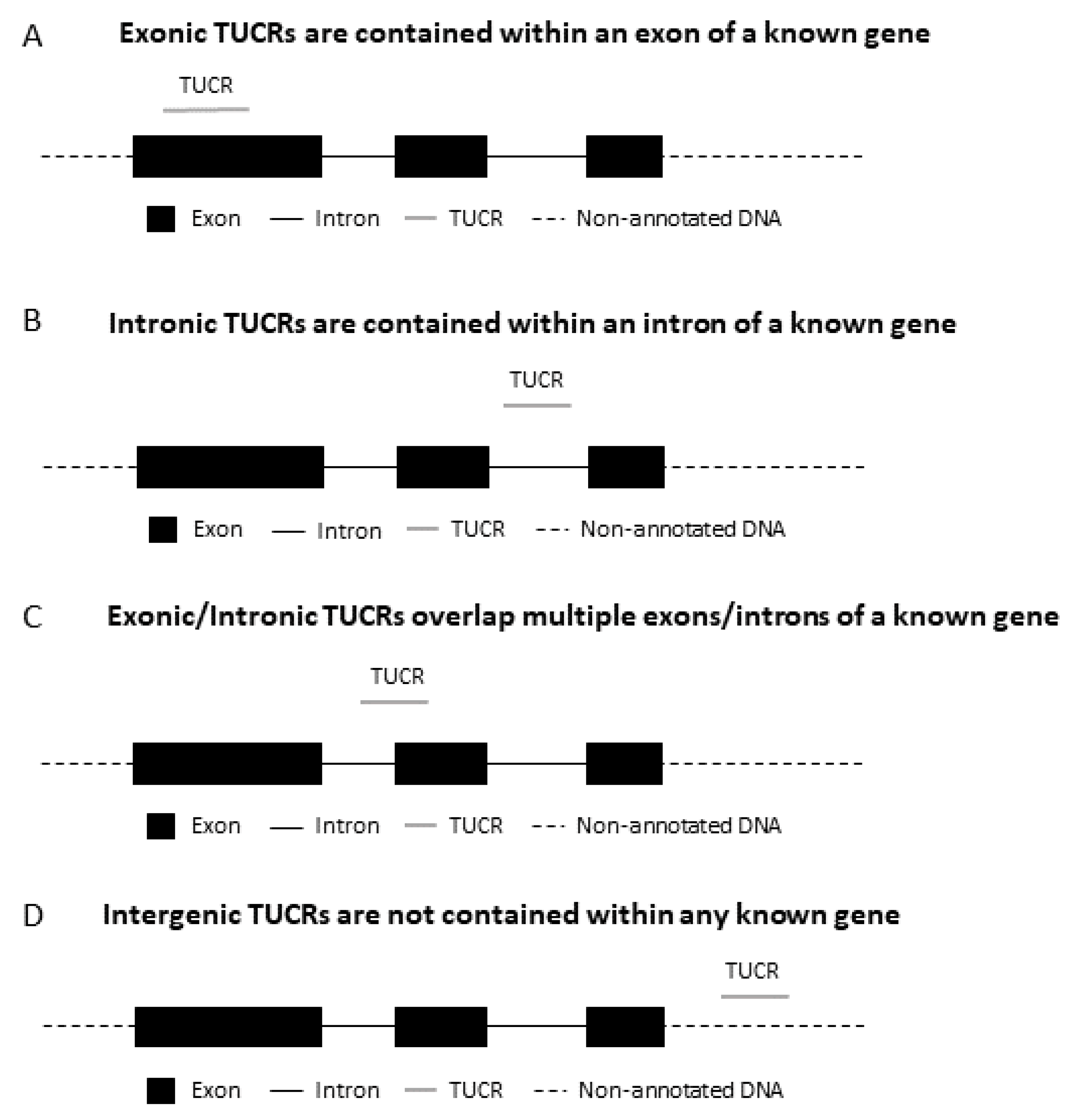 Cells 11 01684 g003 Cells 11 01684 g003