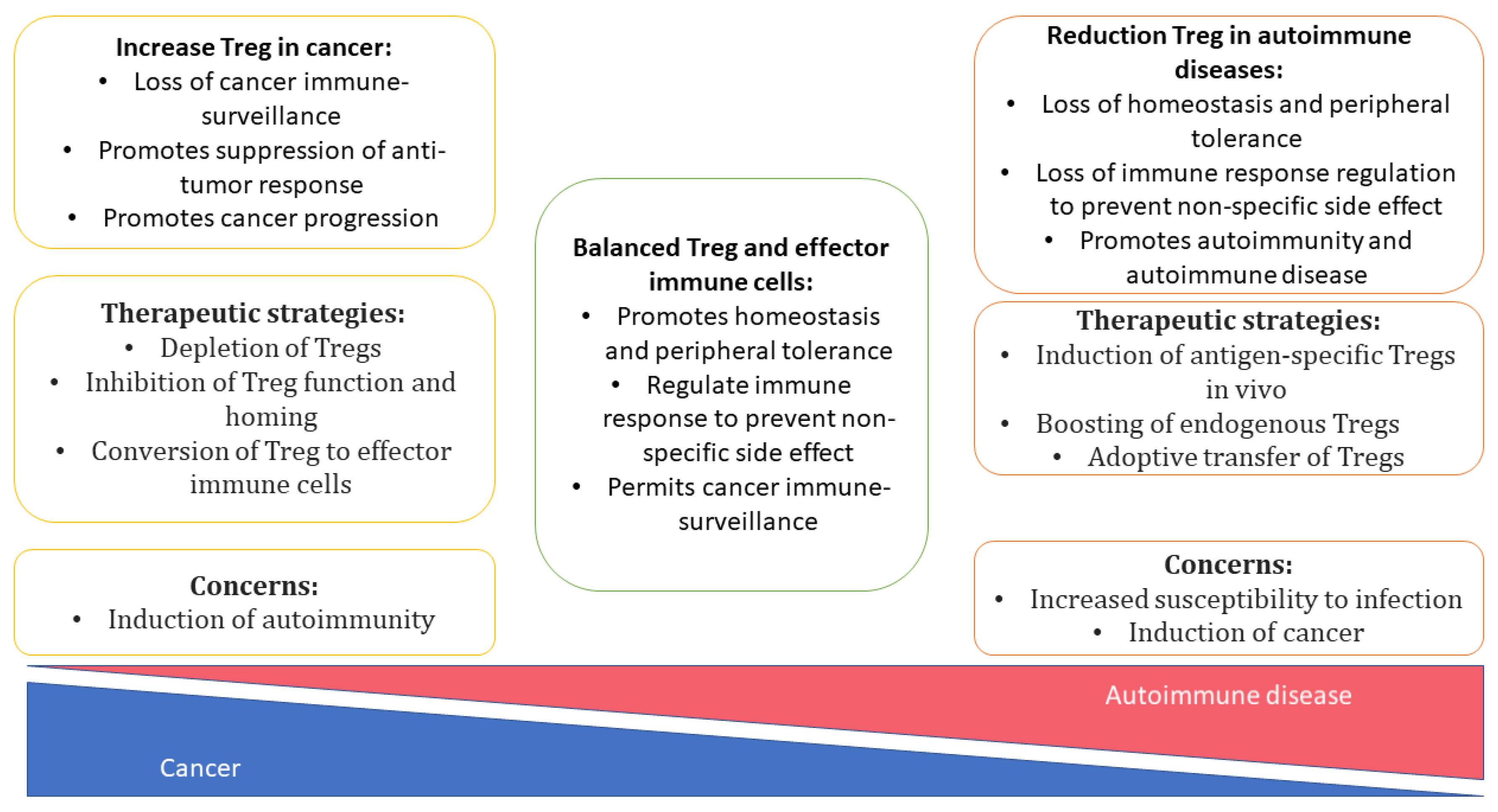 Cells 11 01687 g003 Cells 11 01687 g003