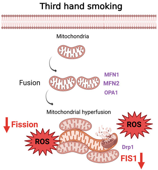 i smoked a cigarette Understanding occasional-smoking risks i smoked a cigarette Understanding occasional-smoking risks
