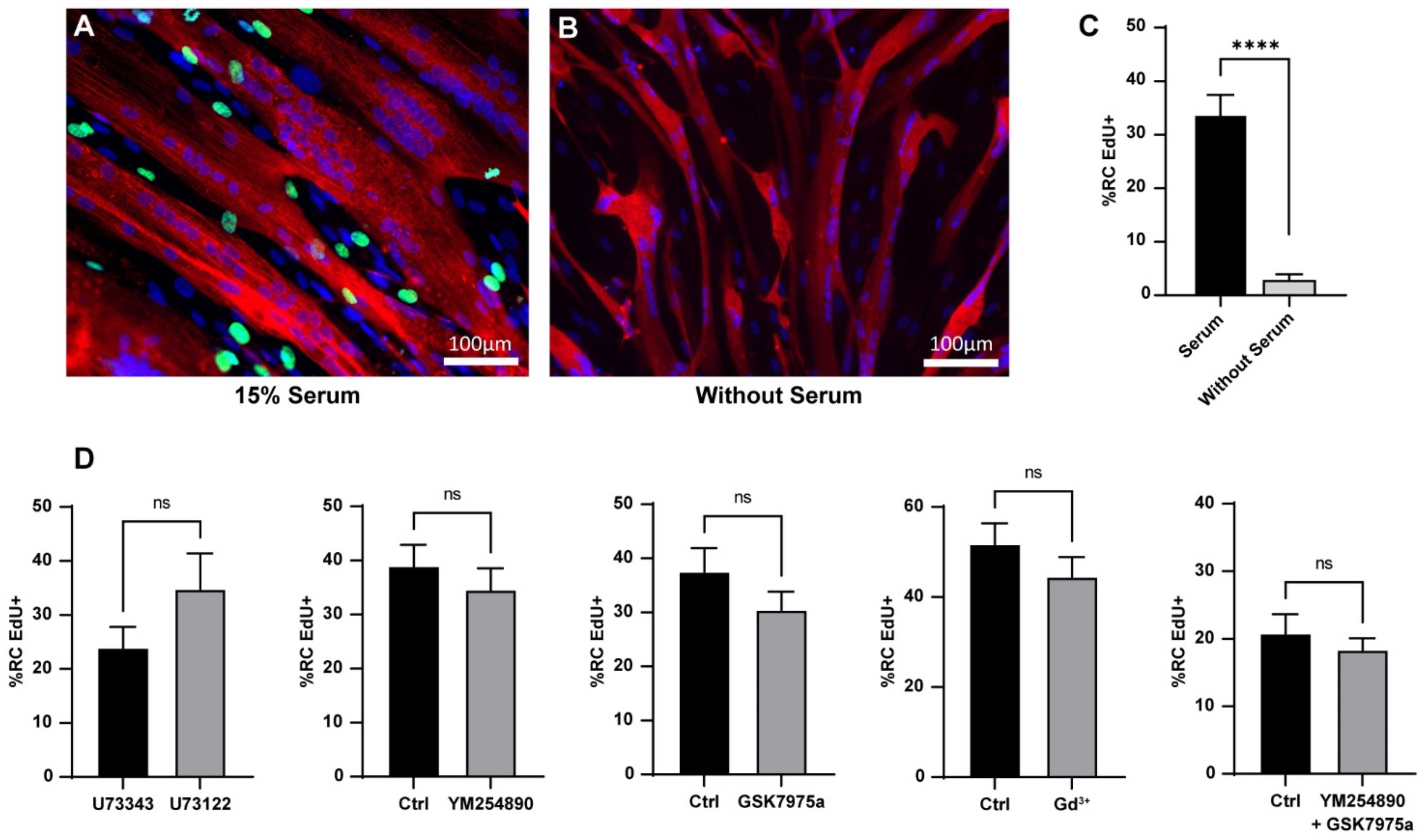Cells 11 01689 g005 550