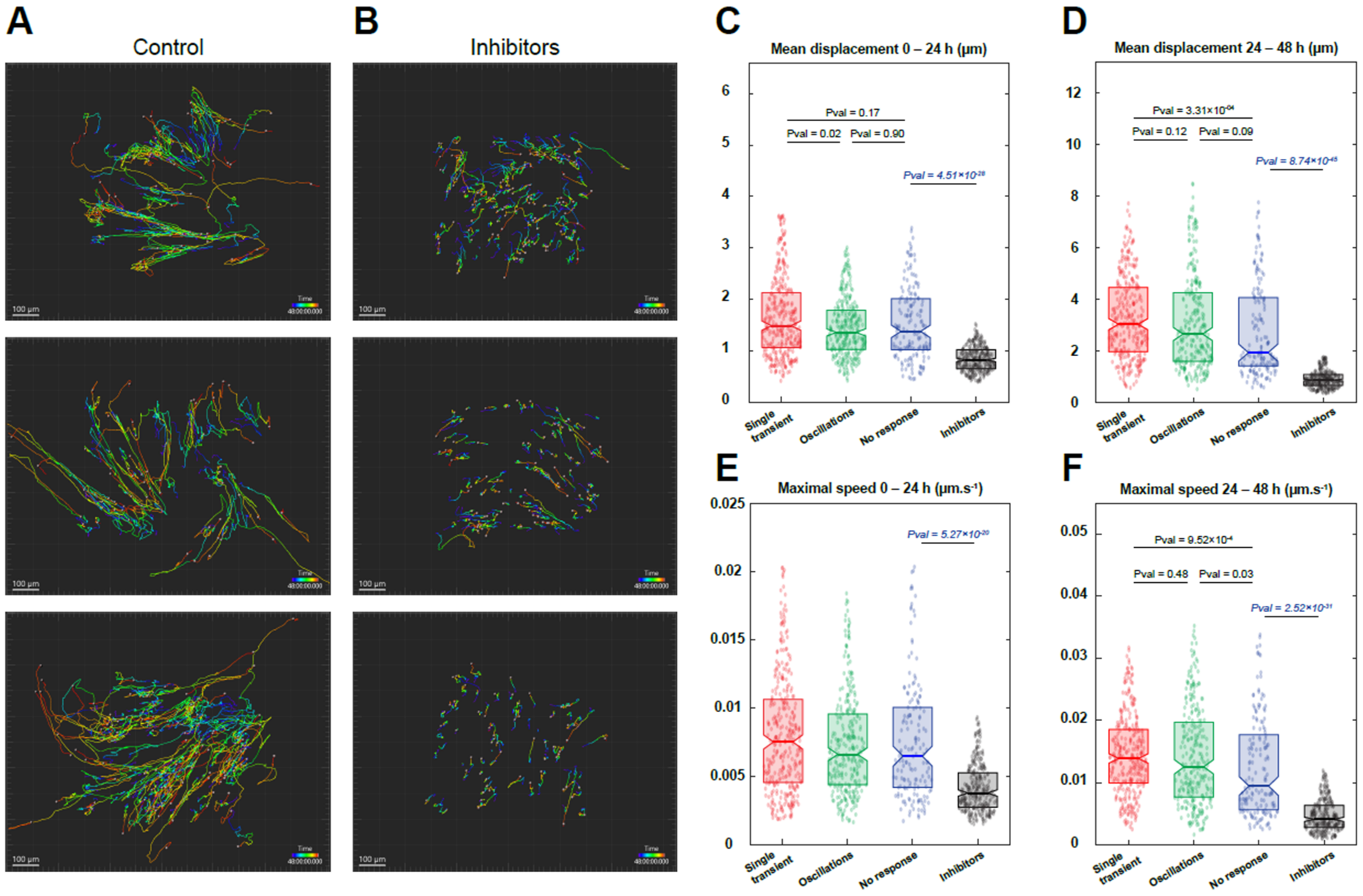 Cells 11 01689 g007 550