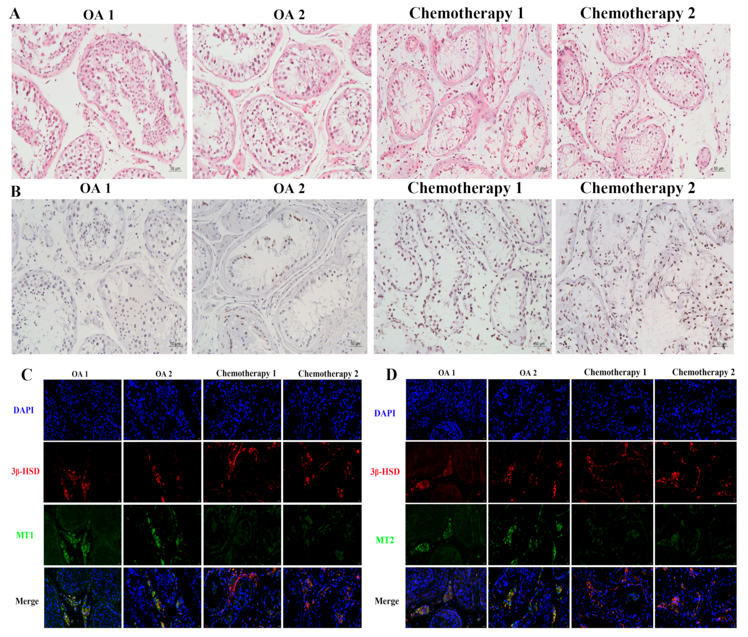 Cells 11 01690 g001a 550