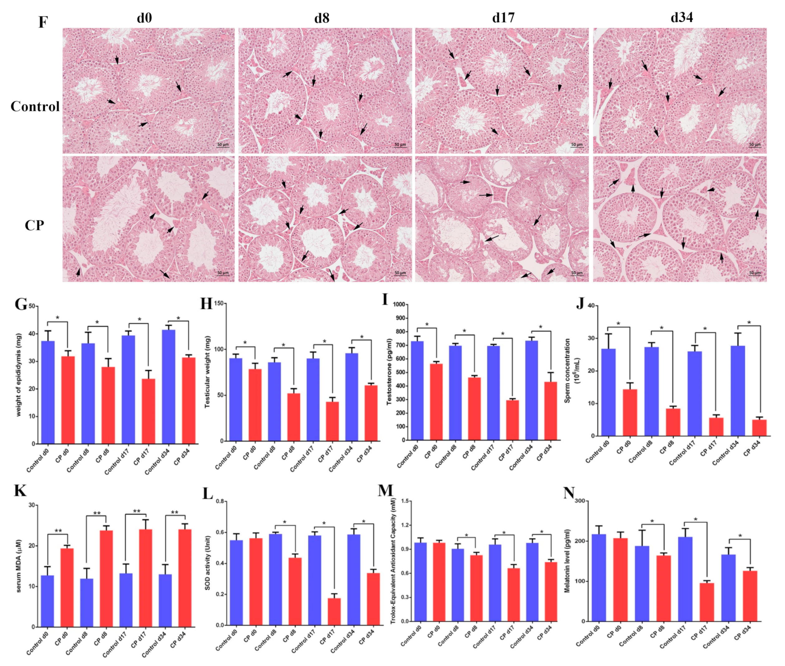 Cells 11 01690 g002b 550
