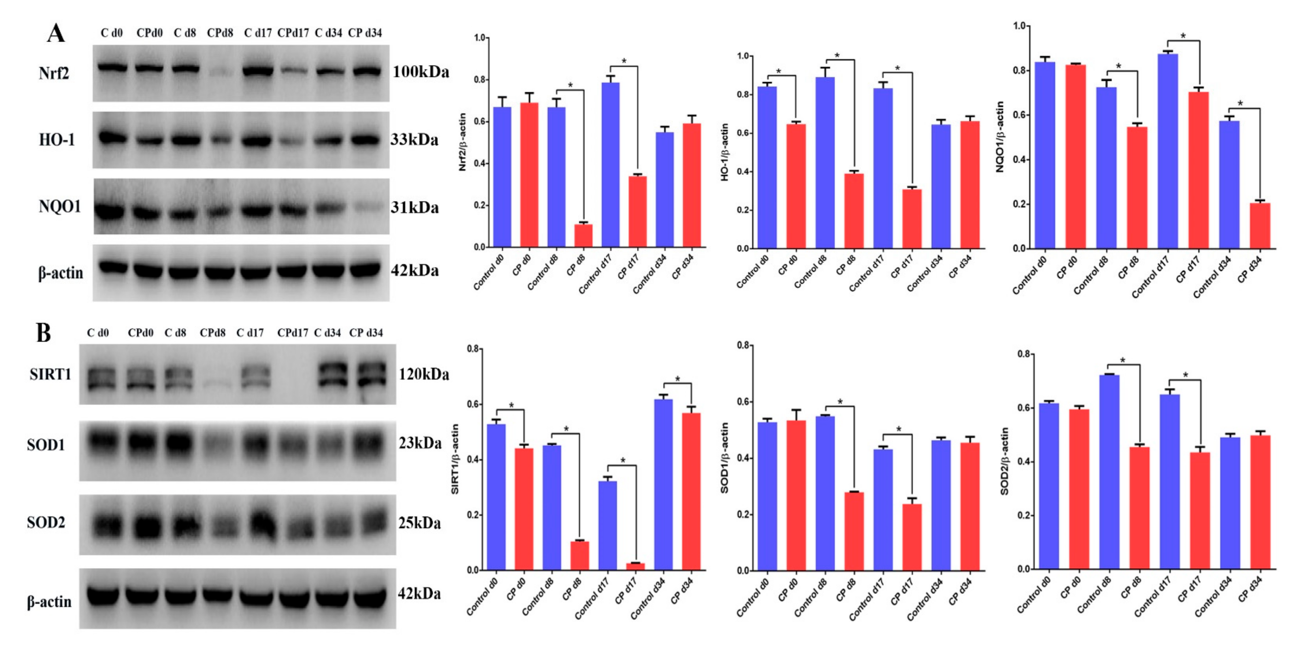Cells 11 01690 g004 550
