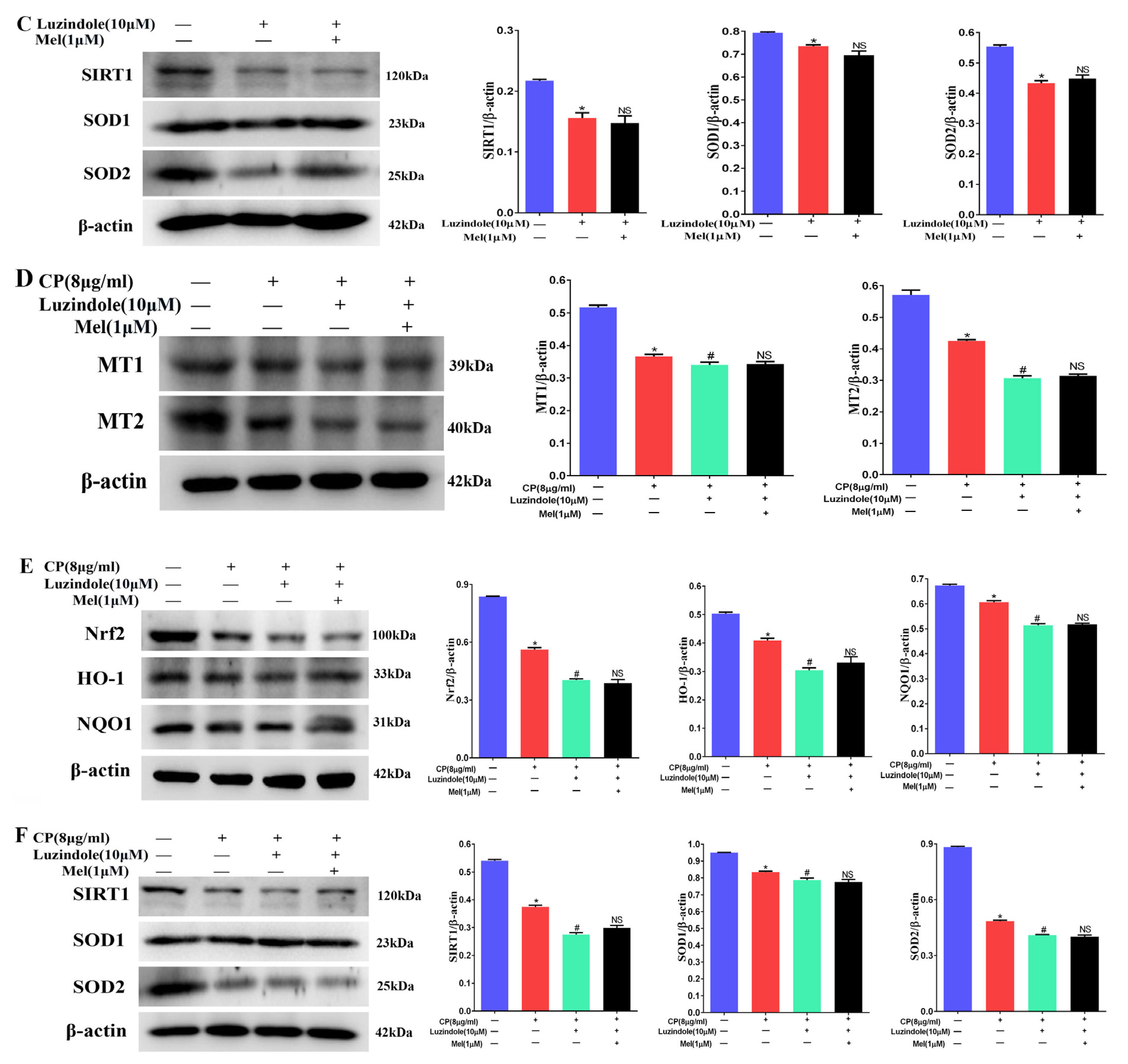 Cells 11 01690 g011b 550
