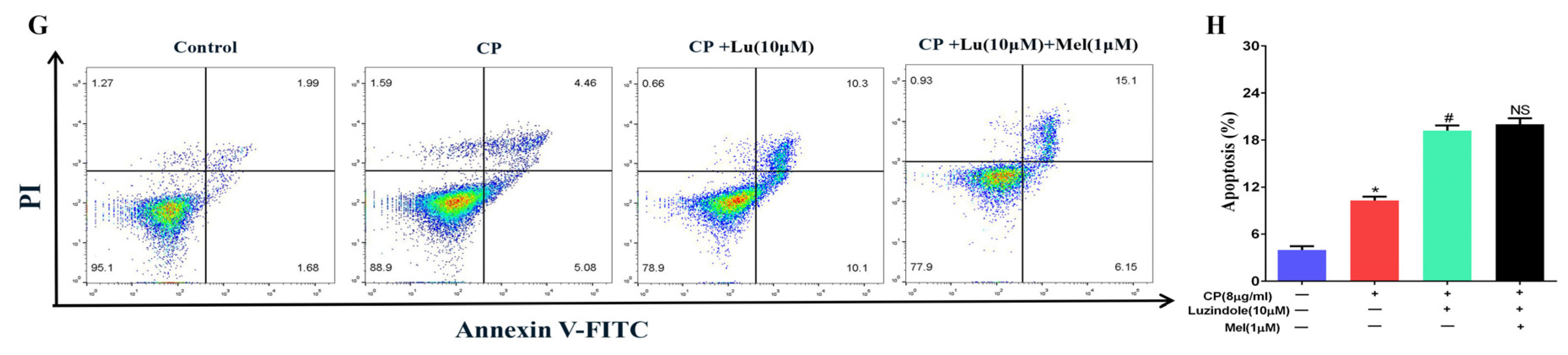 Cells 11 01690 g011c 550