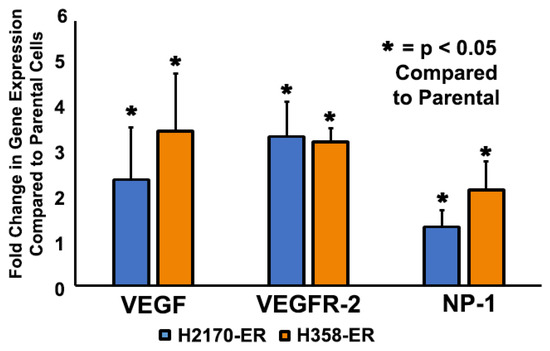 Namrata Puri Sex Video - Cells | Free Full-Text | Mediating EGFR-TKI Resistance by VEGF/VEGFR  Autocrine Pathway in Non-Small Cell Lung Cancer