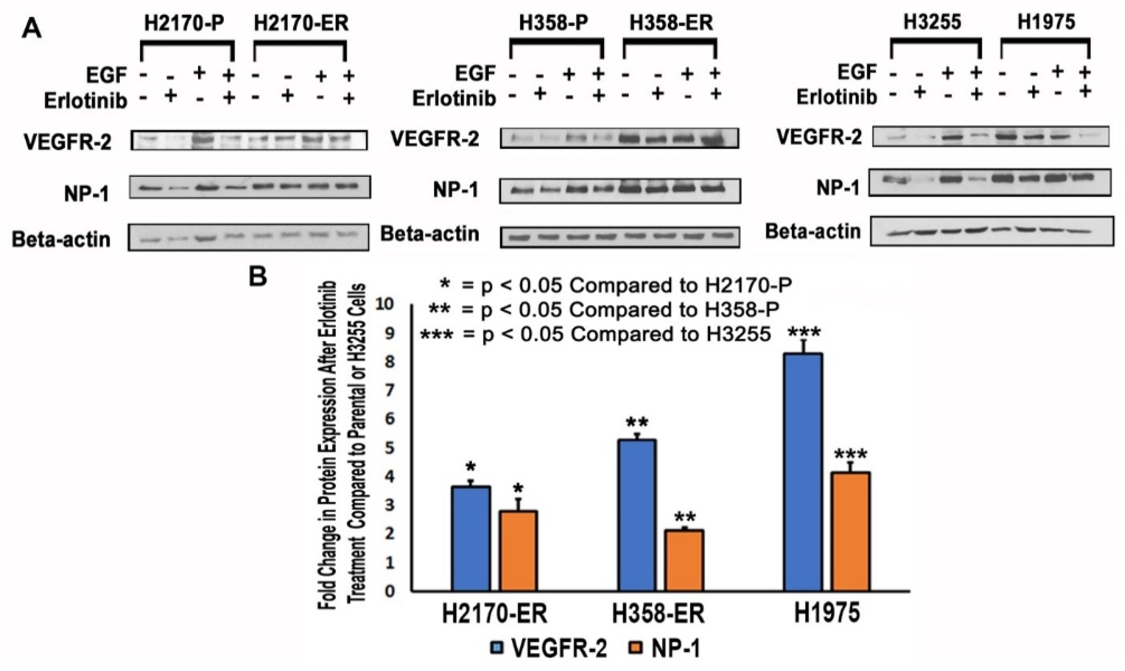 Cells 11 01694 g002 550
