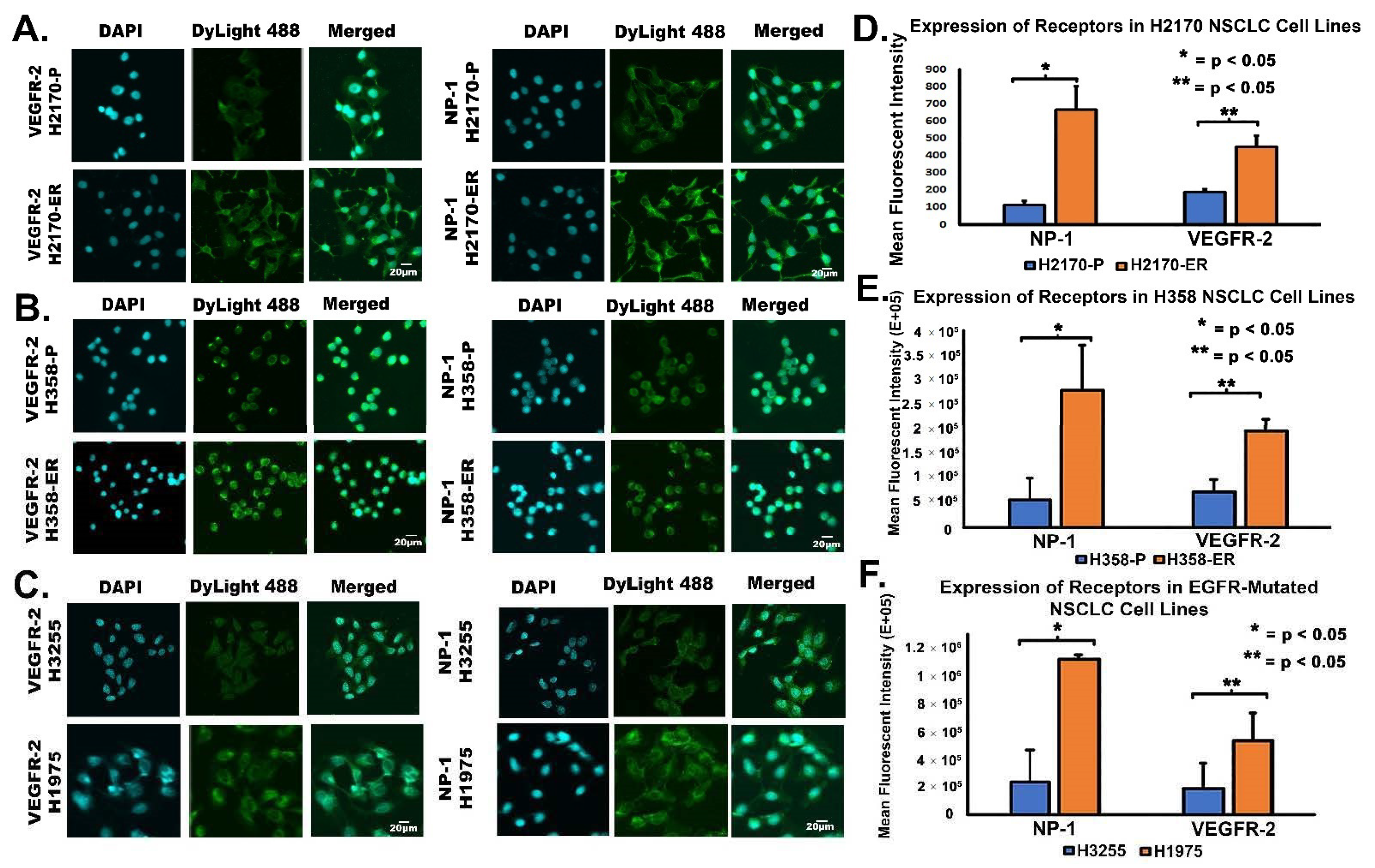 Cells 11 01694 g004 550