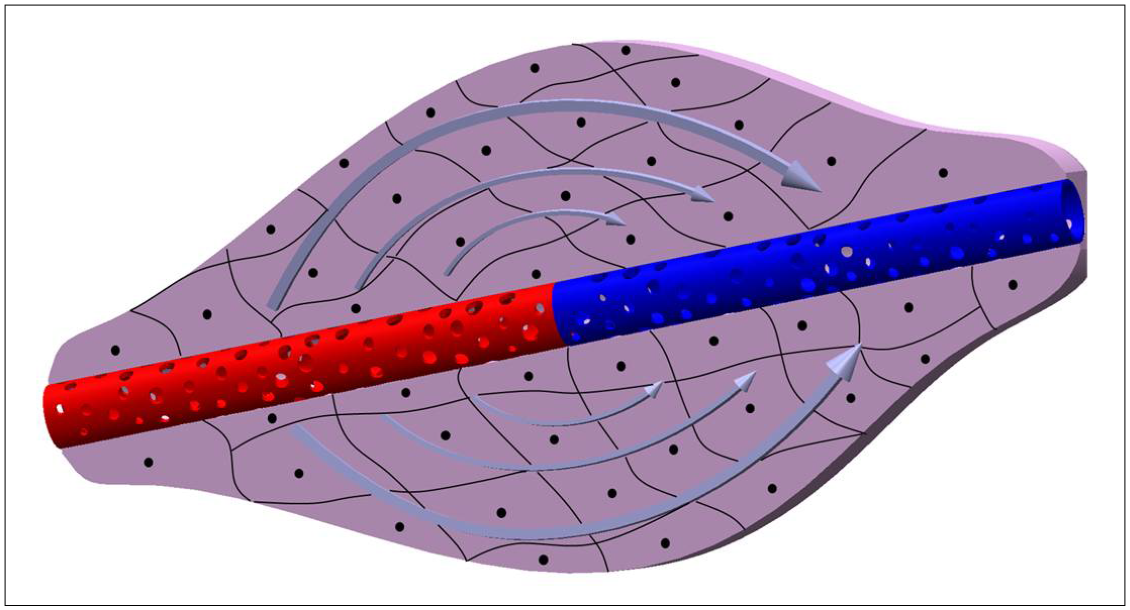 Cells 11 01699 g001 Cells 11 01699 g001
