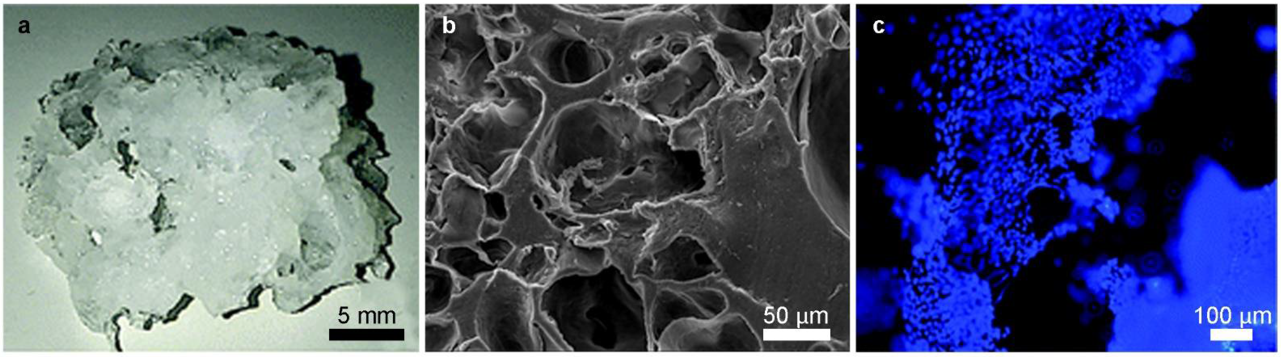 Cells 11 01699 g002 Cells 11 01699 g002