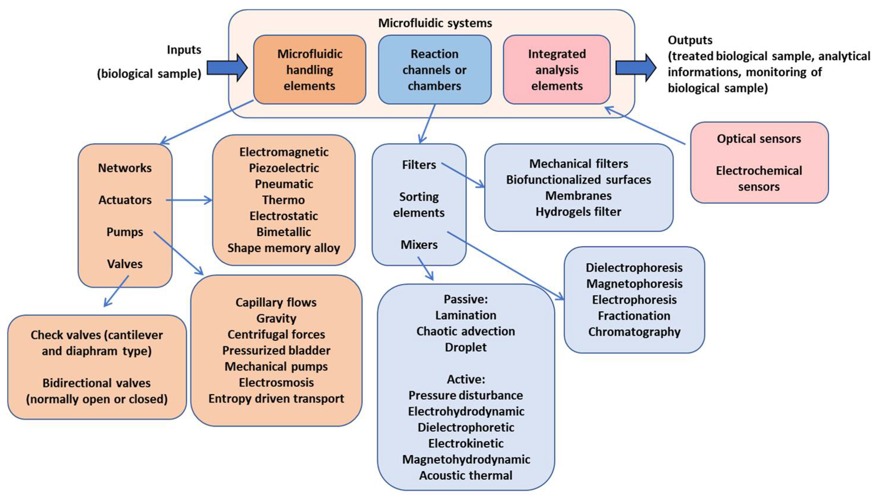 Cells 11 01699 g003 Cells 11 01699 g003