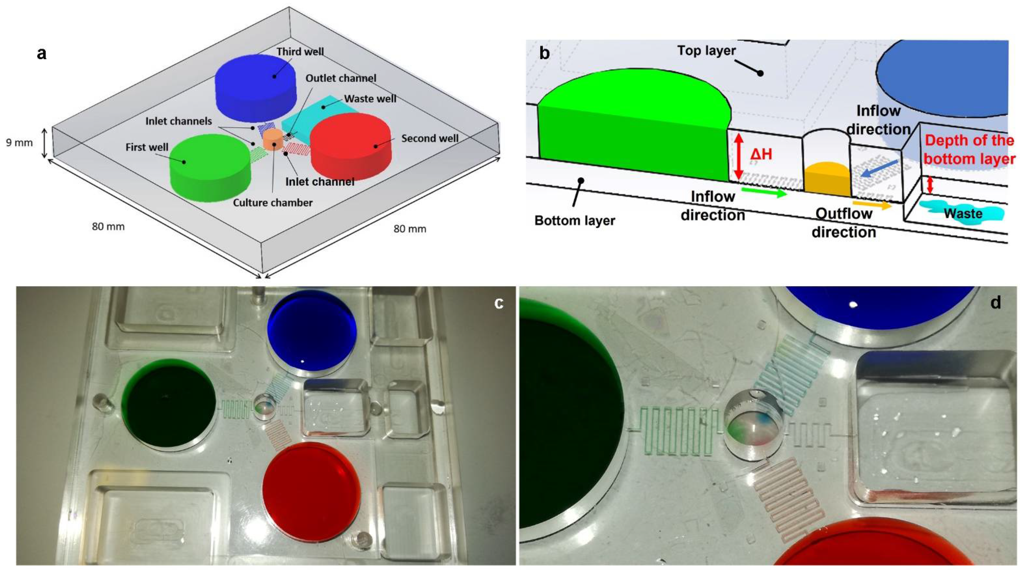 Cells 11 01699 g004 Cells 11 01699 g004