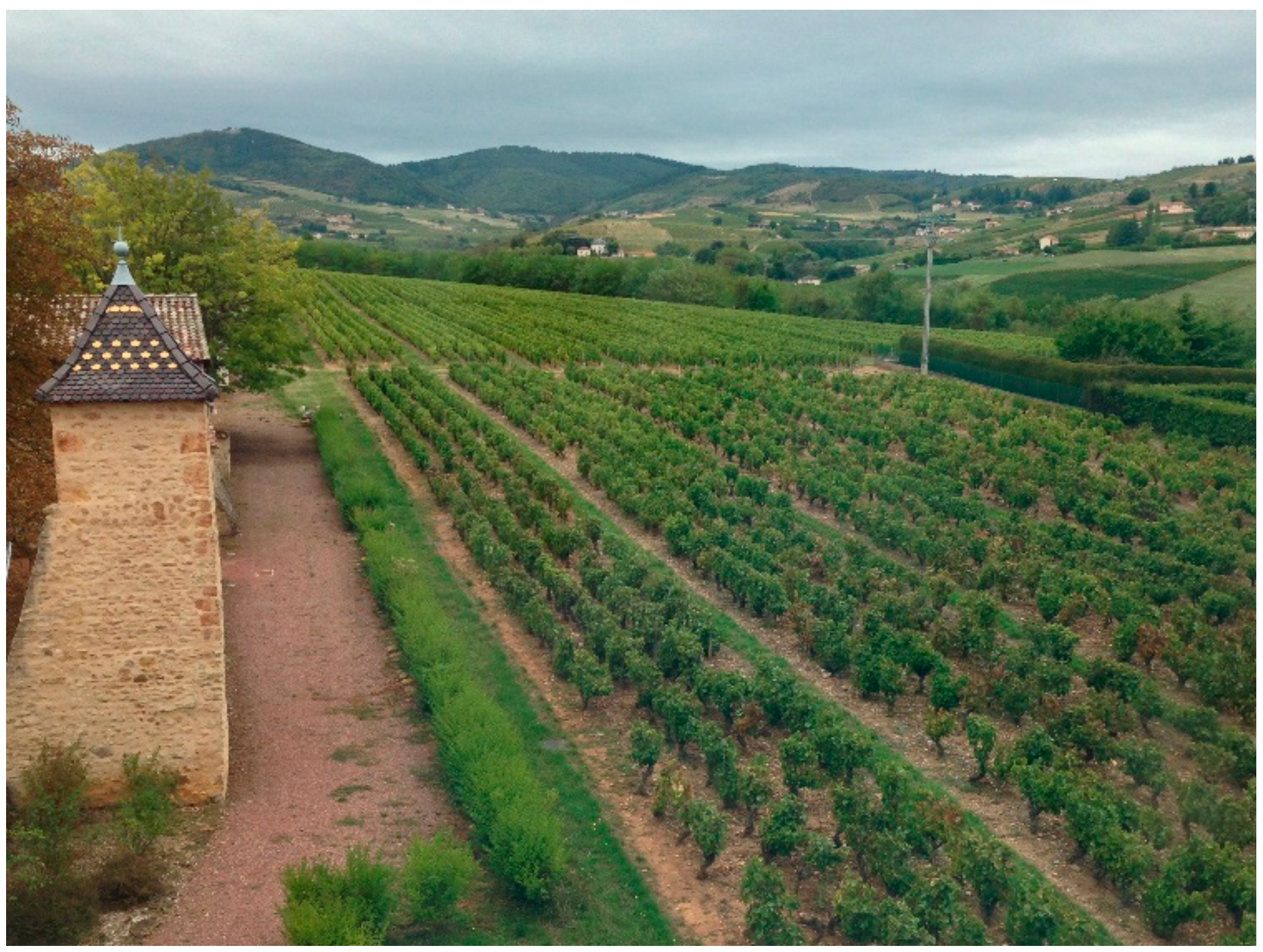 Cells 11 01702 g002 550