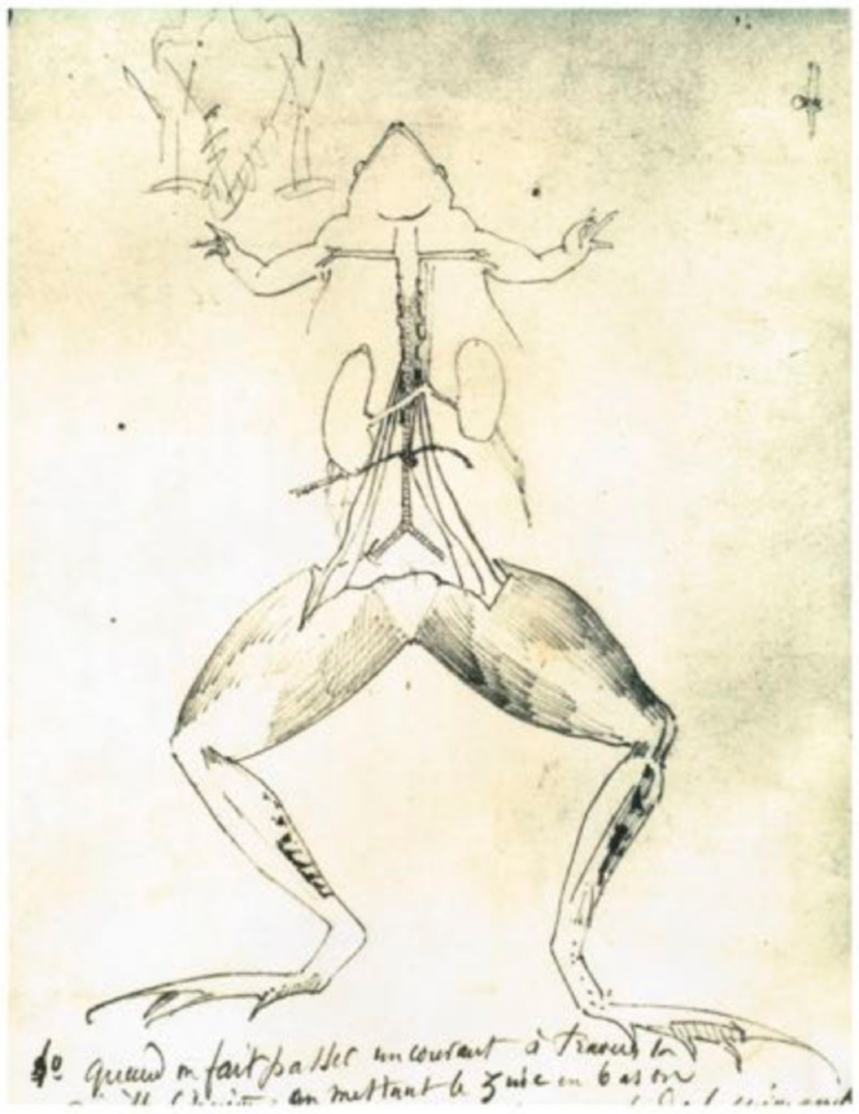 Cells 11 01702 g005 550