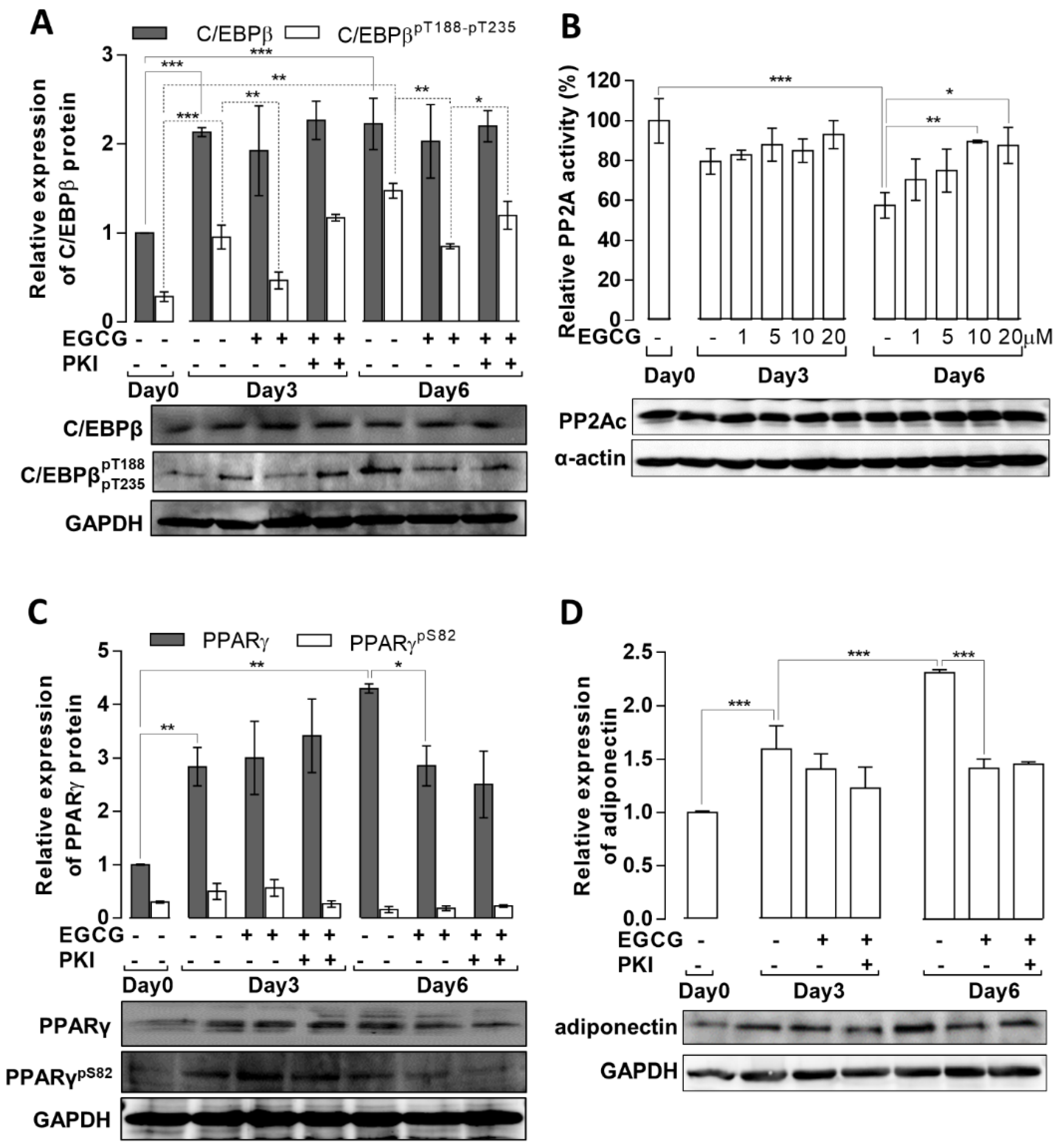 Cells 11 01704 g003 550
