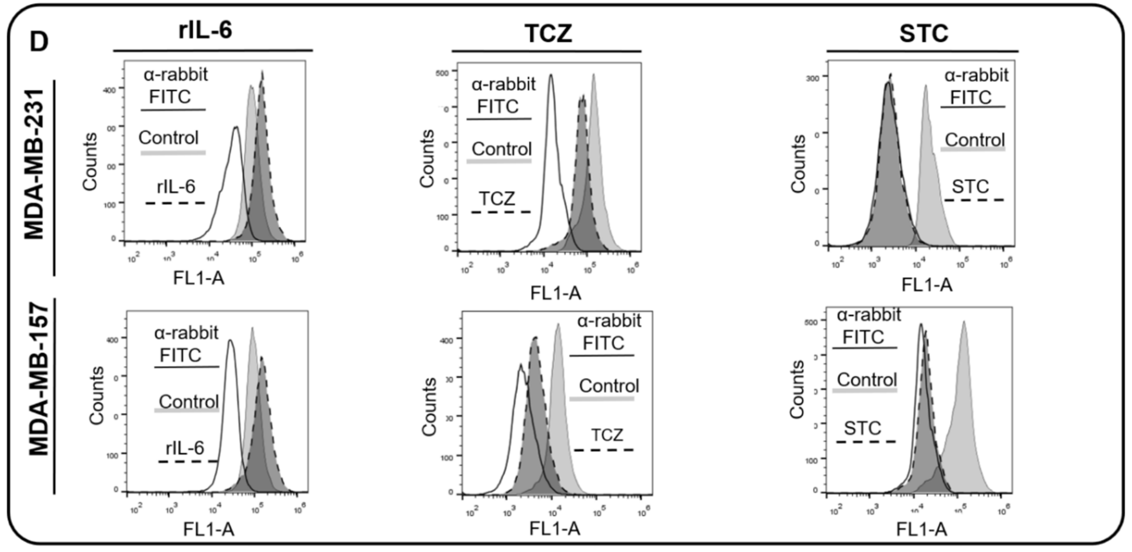 Cells 11 01705 g003b Cells 11 01705 g003b