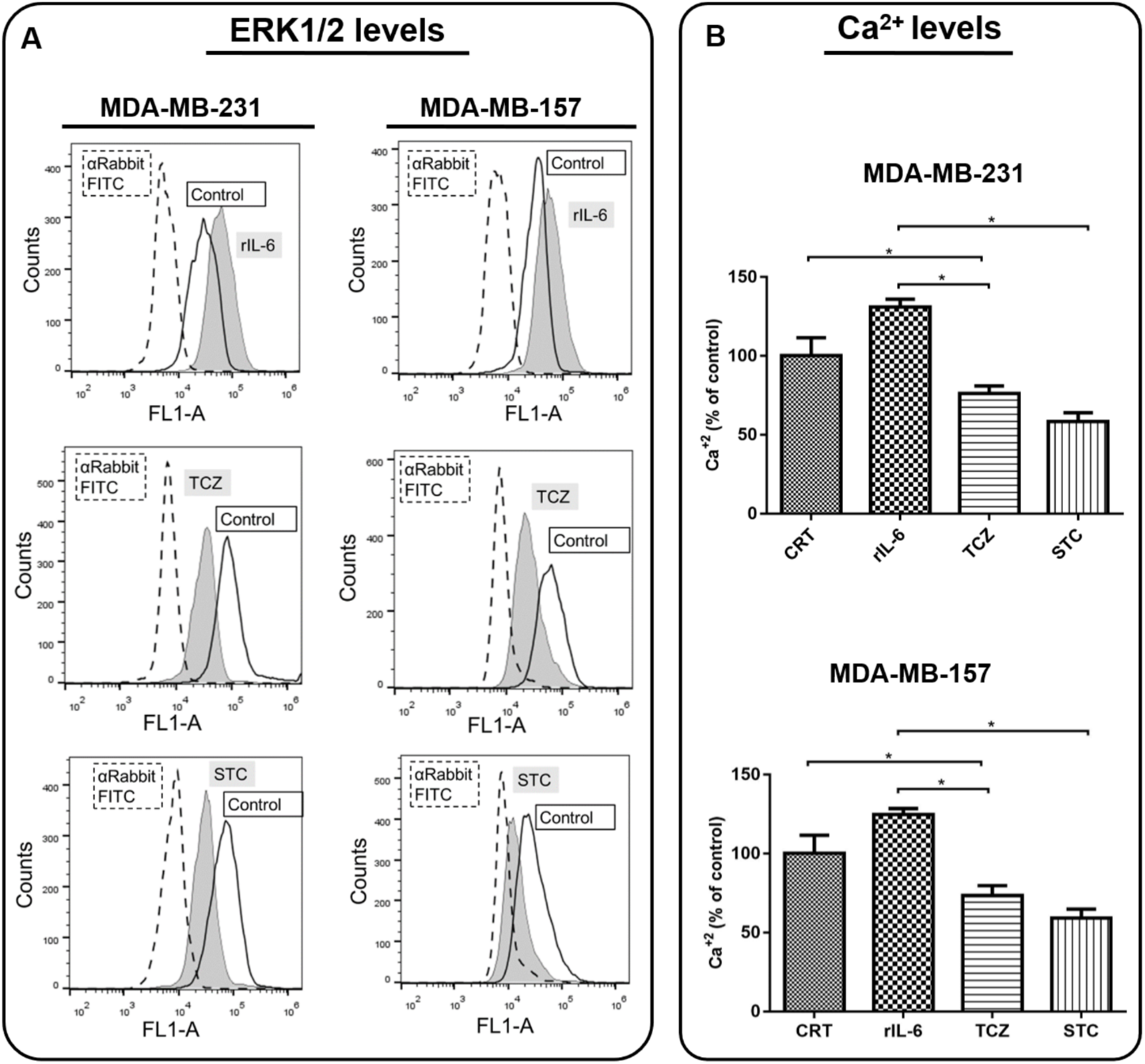 Cells 11 01705 g006 Cells 11 01705 g006