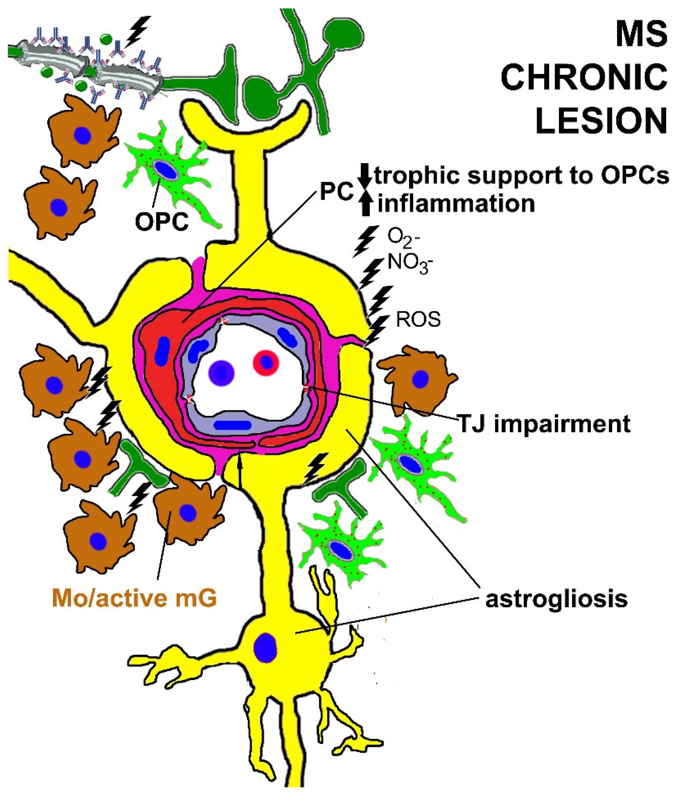Cells 11 01707 g003 550