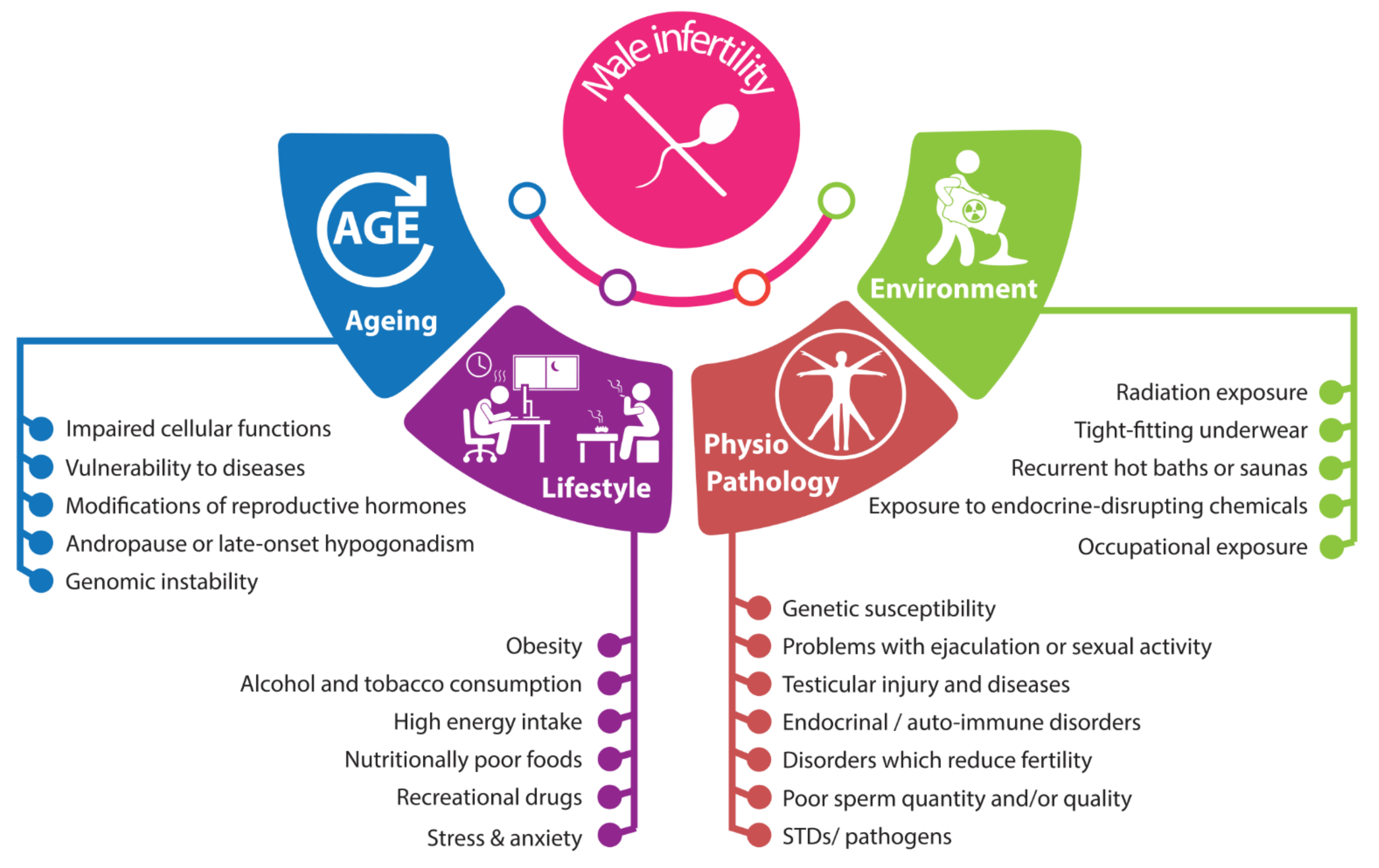 Cells Free Full-Text Infertility in Men Advances towards a Comprehensive and Integrative Strategy for Precision Theranostics image