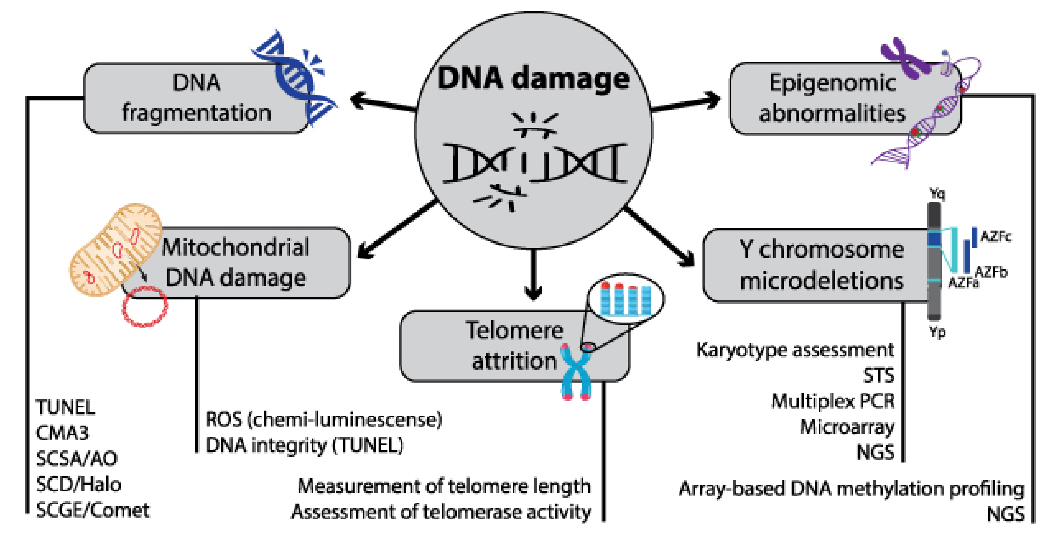 Cells 11 01711 g003 550