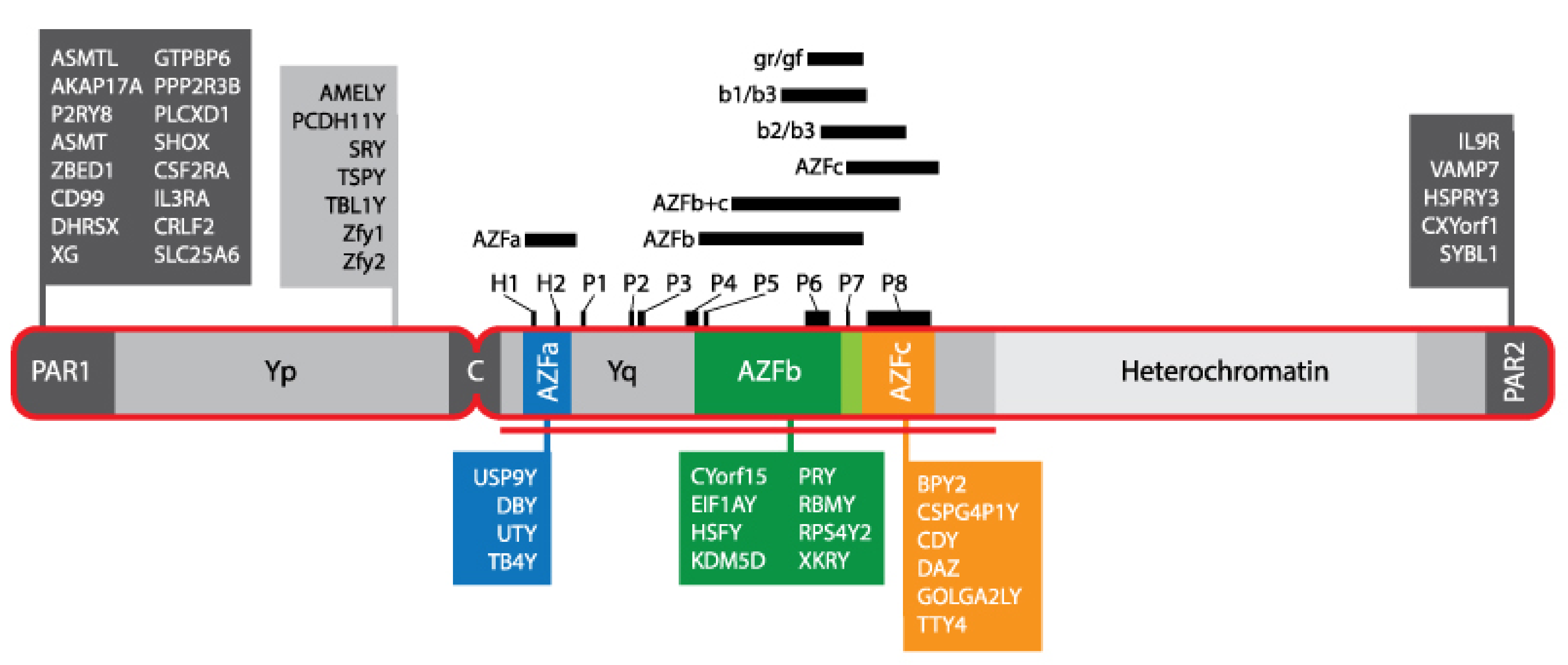 Cells 11 01711 g004 550