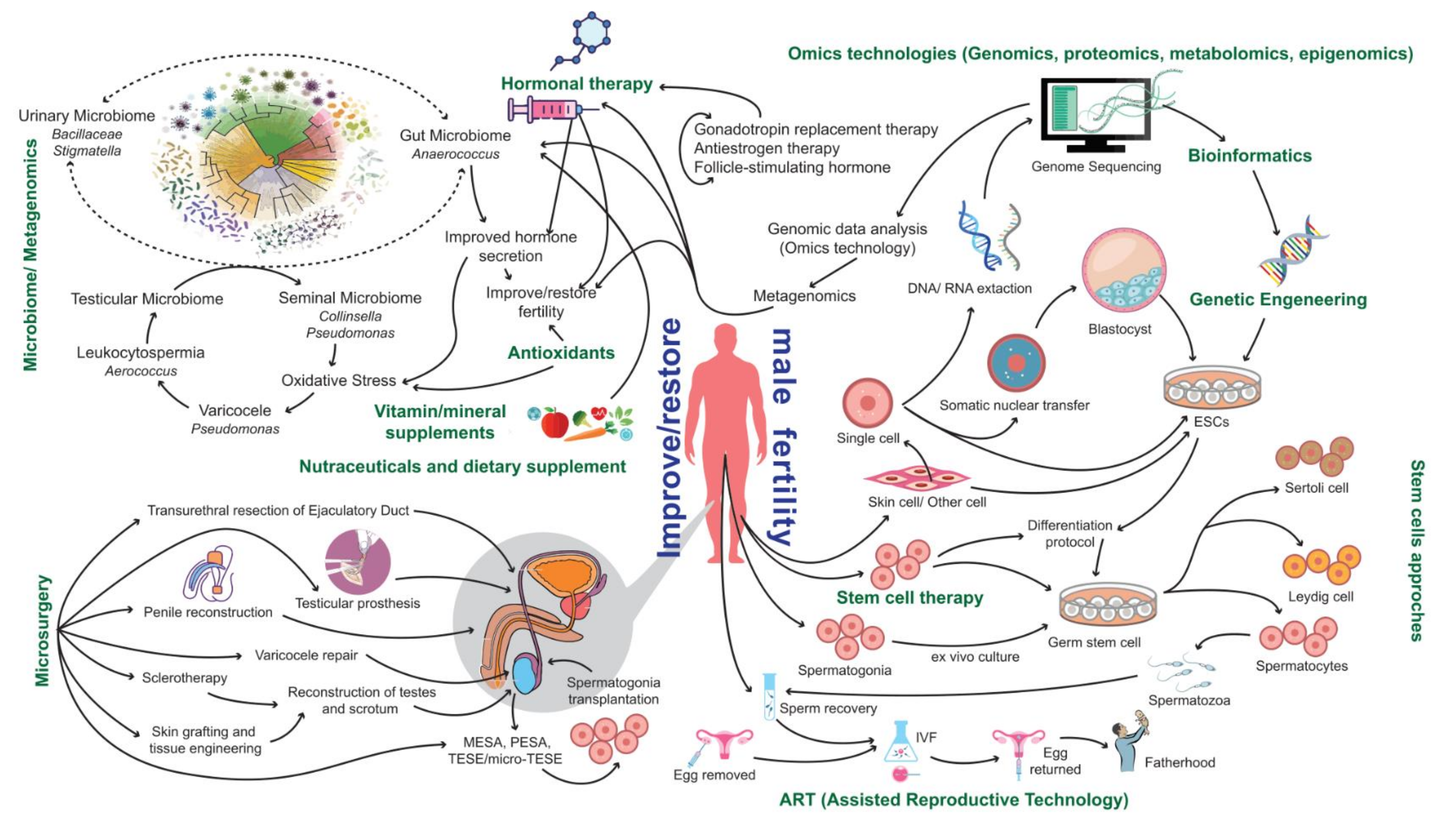 Cells 11 01711 g005 550