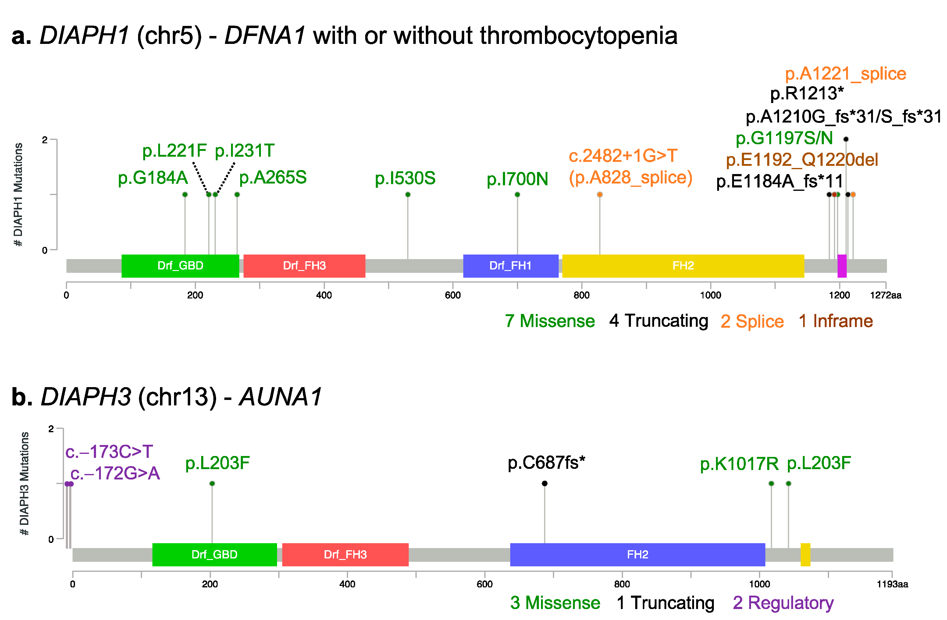 Cells 11 01726 g002 Cells 11 01726 g002