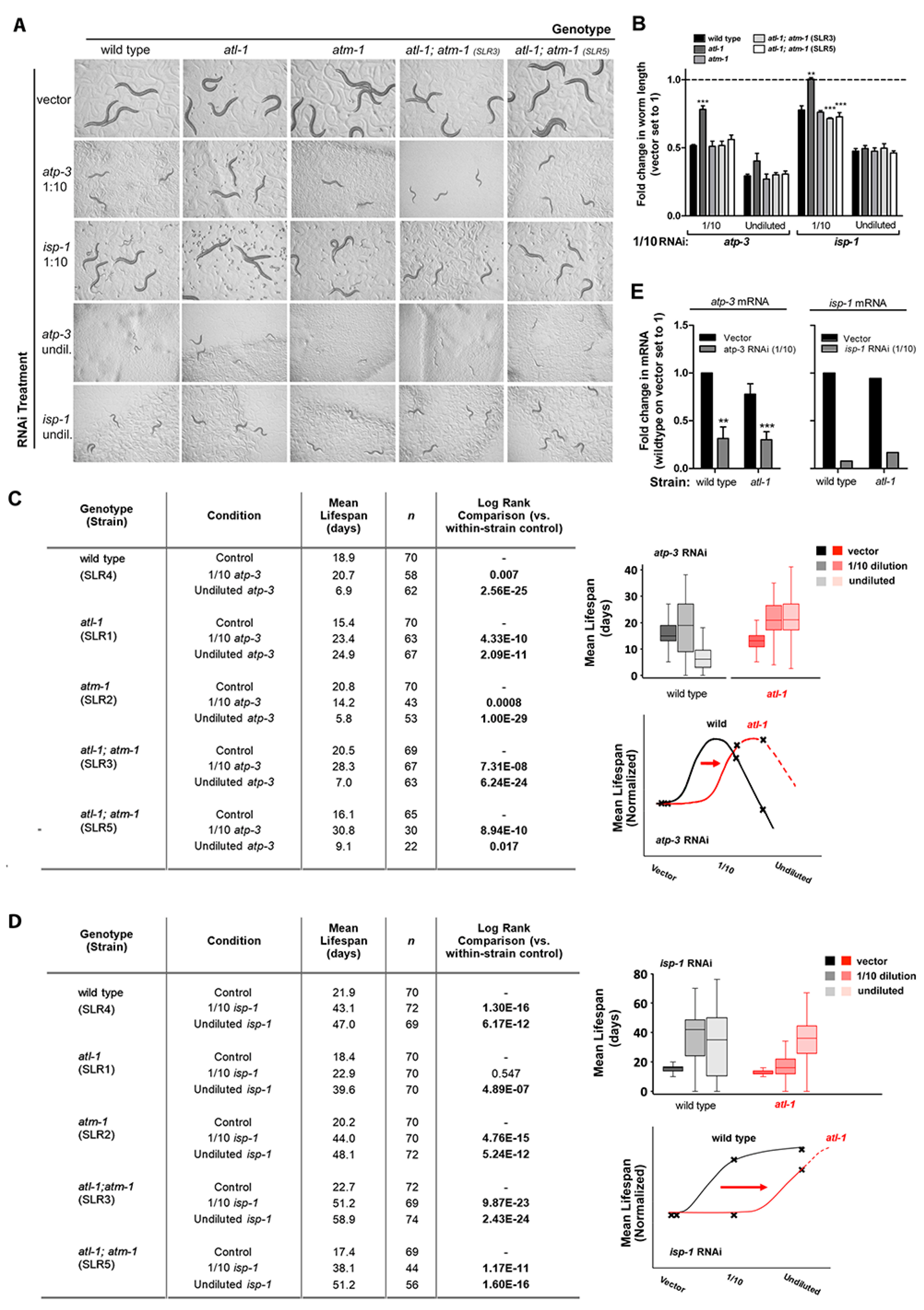 Cells 11 01731 g001 Cells 11 01731 g001