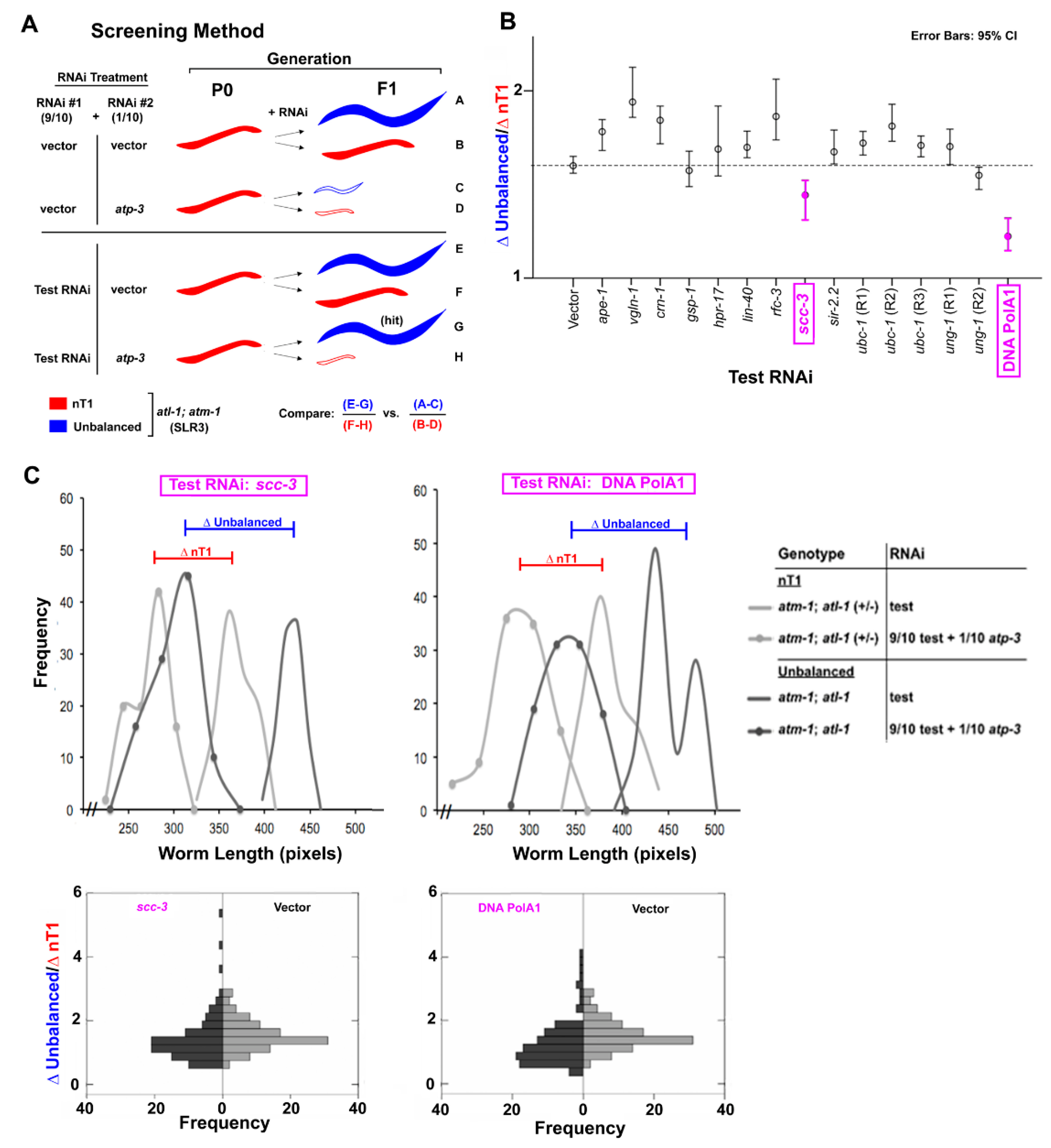 Cells 11 01731 g003 Cells 11 01731 g003