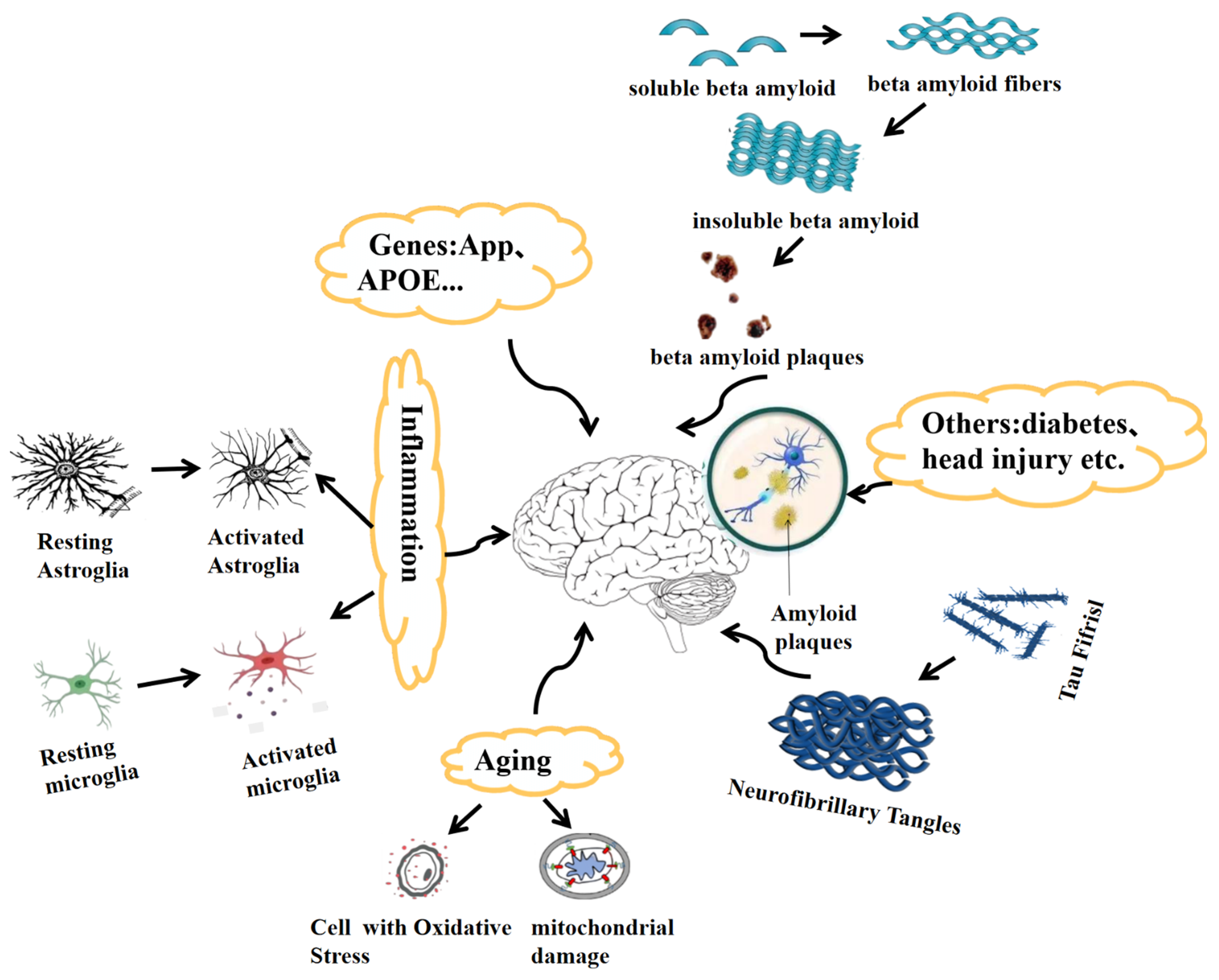 Cells | Free Full-Text | Reducing PDK1/Akt Activity: An Effective 