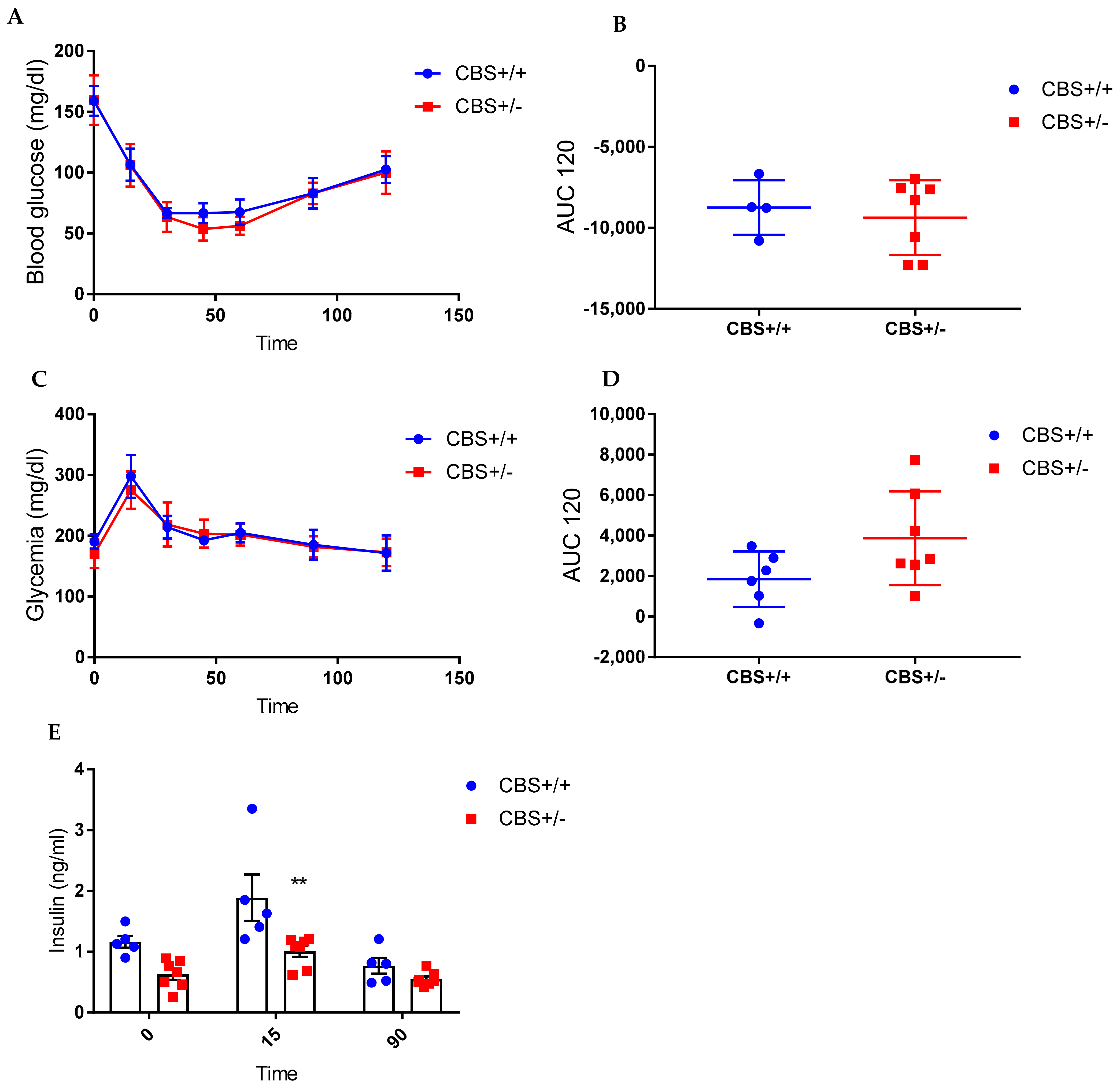 Cells 11 01737 g002 Cells 11 01737 g002