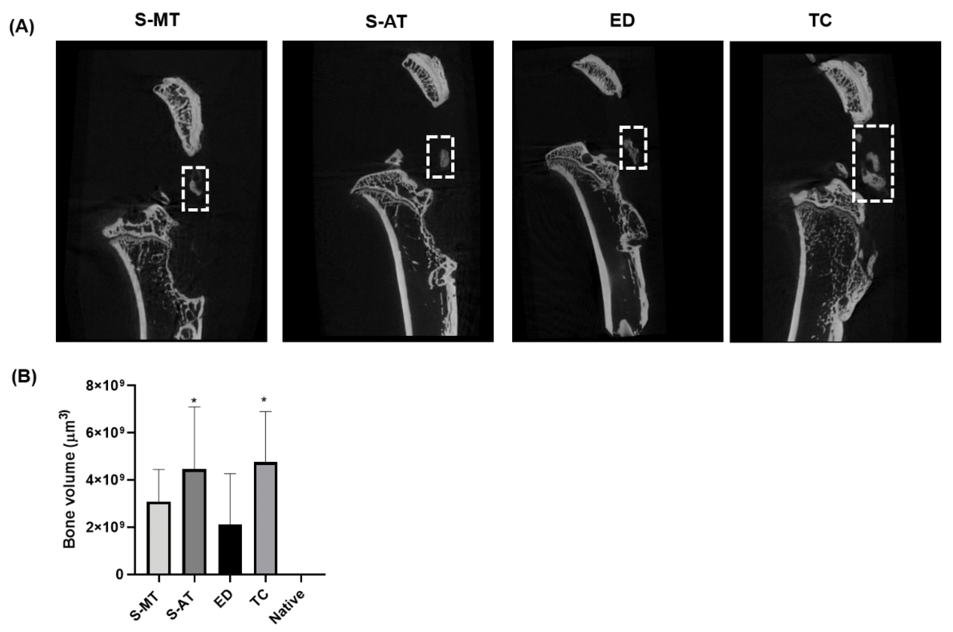 Cells 11 01752 g003 550