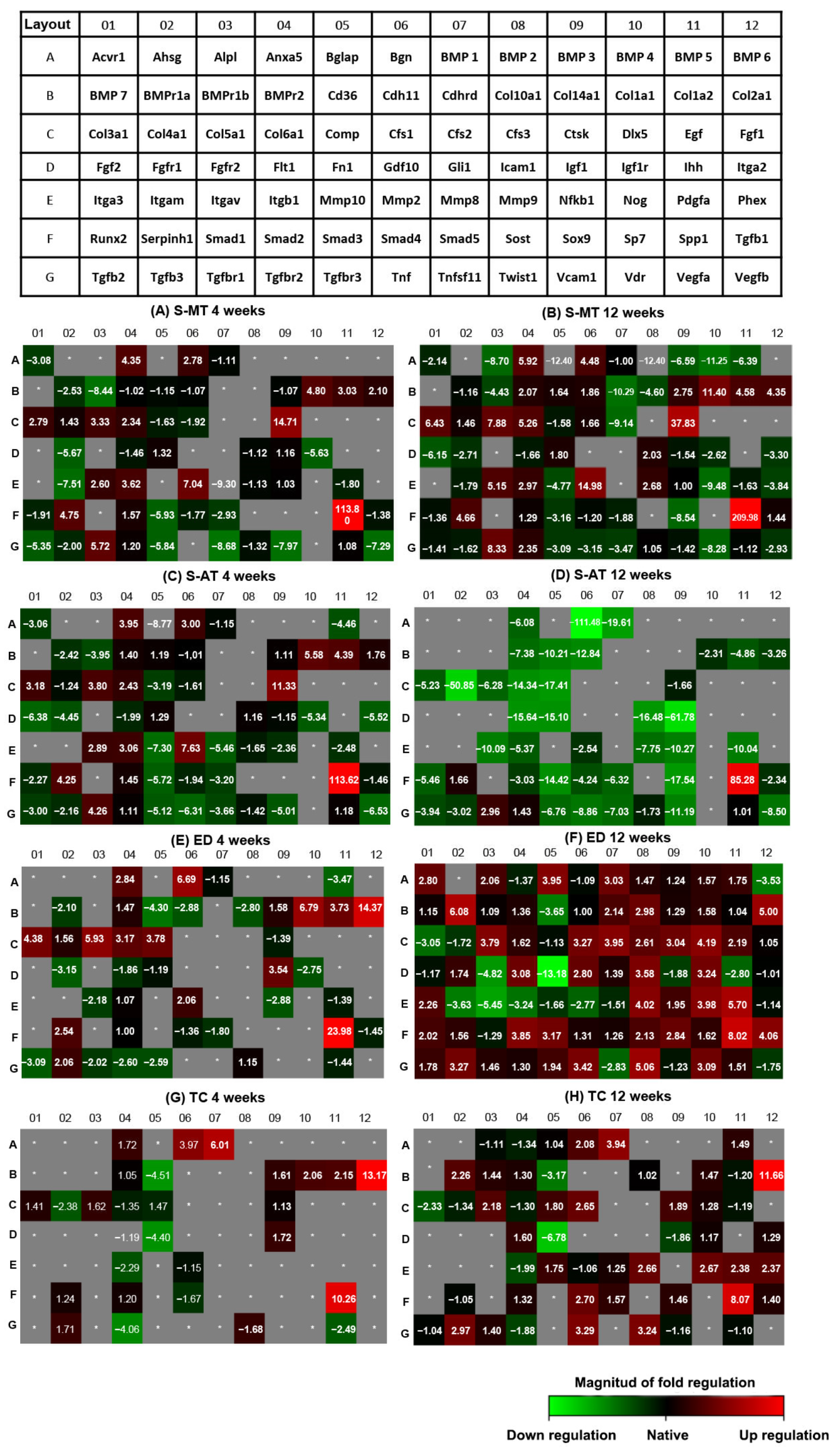 Cells 11 01752 g008 550