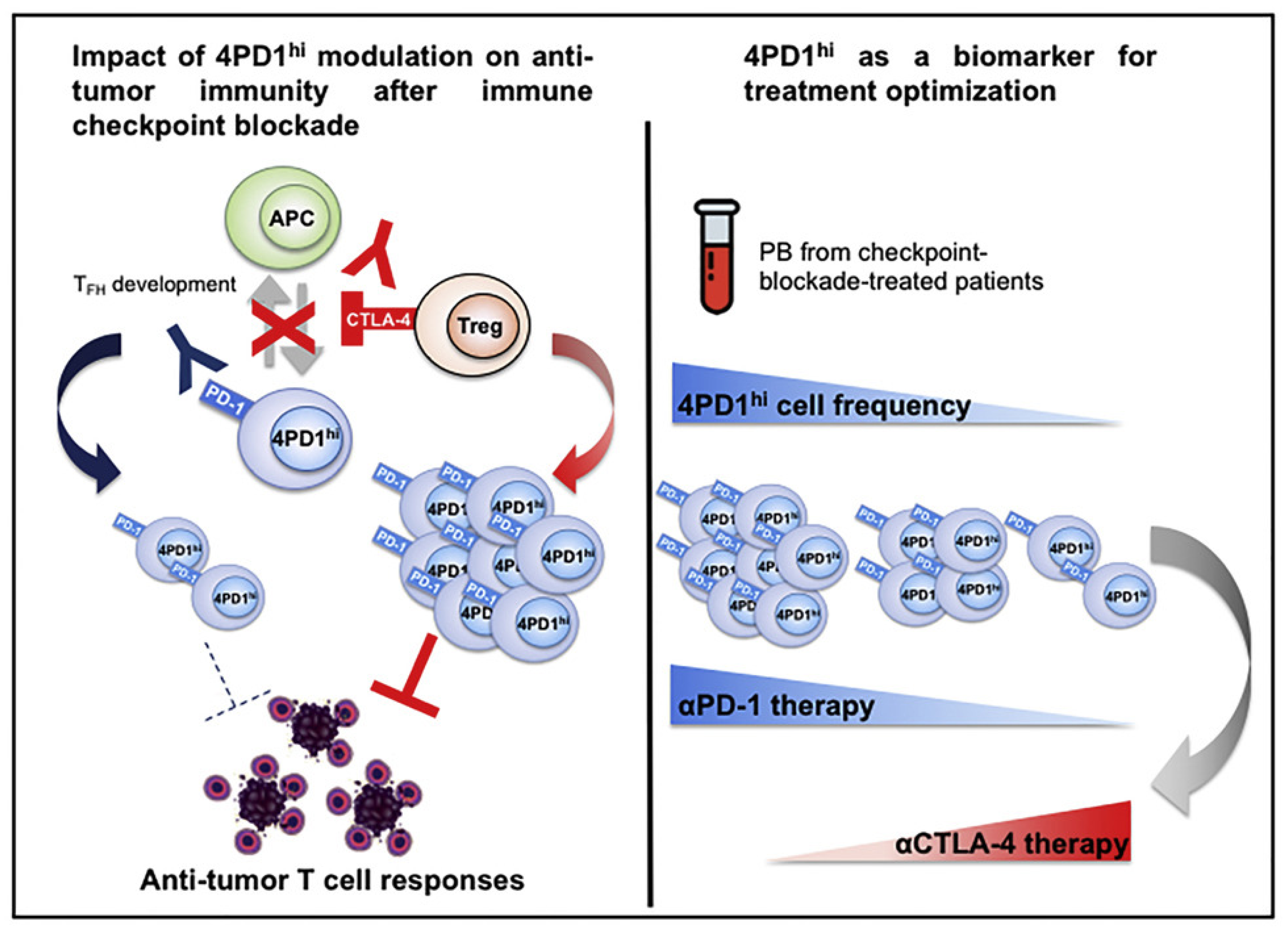 Cells 11 01758 g001 550