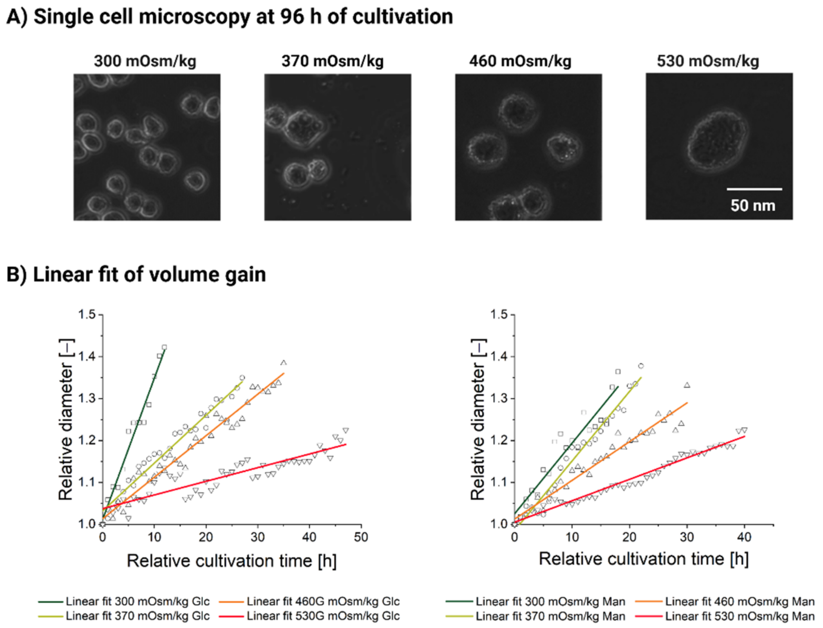 Cells 11 01763 g004 550