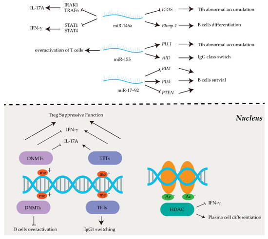 Abnormal Epigenetic Regulations in the Immunocytes of
