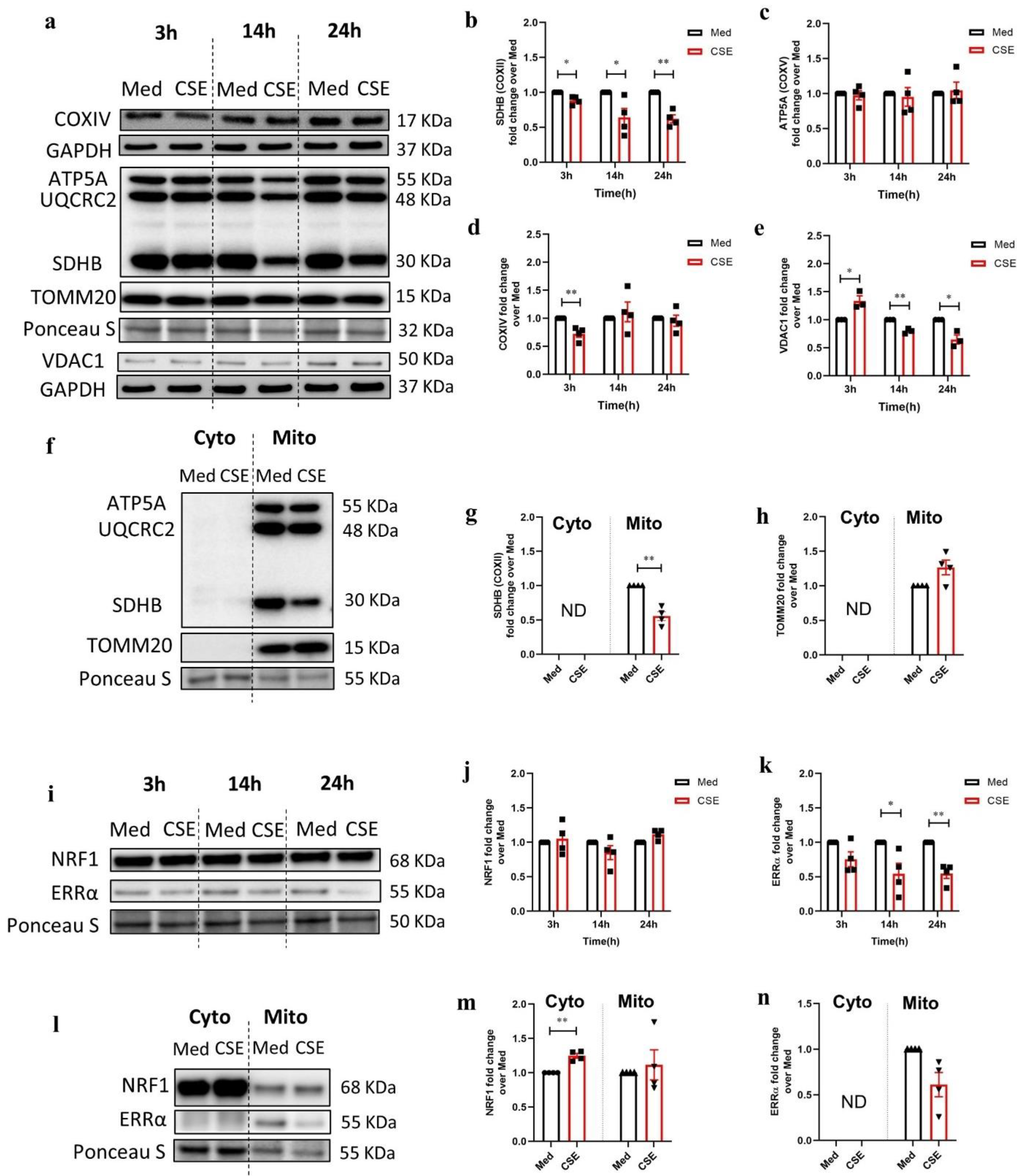Cells 11 01771 g001 550
