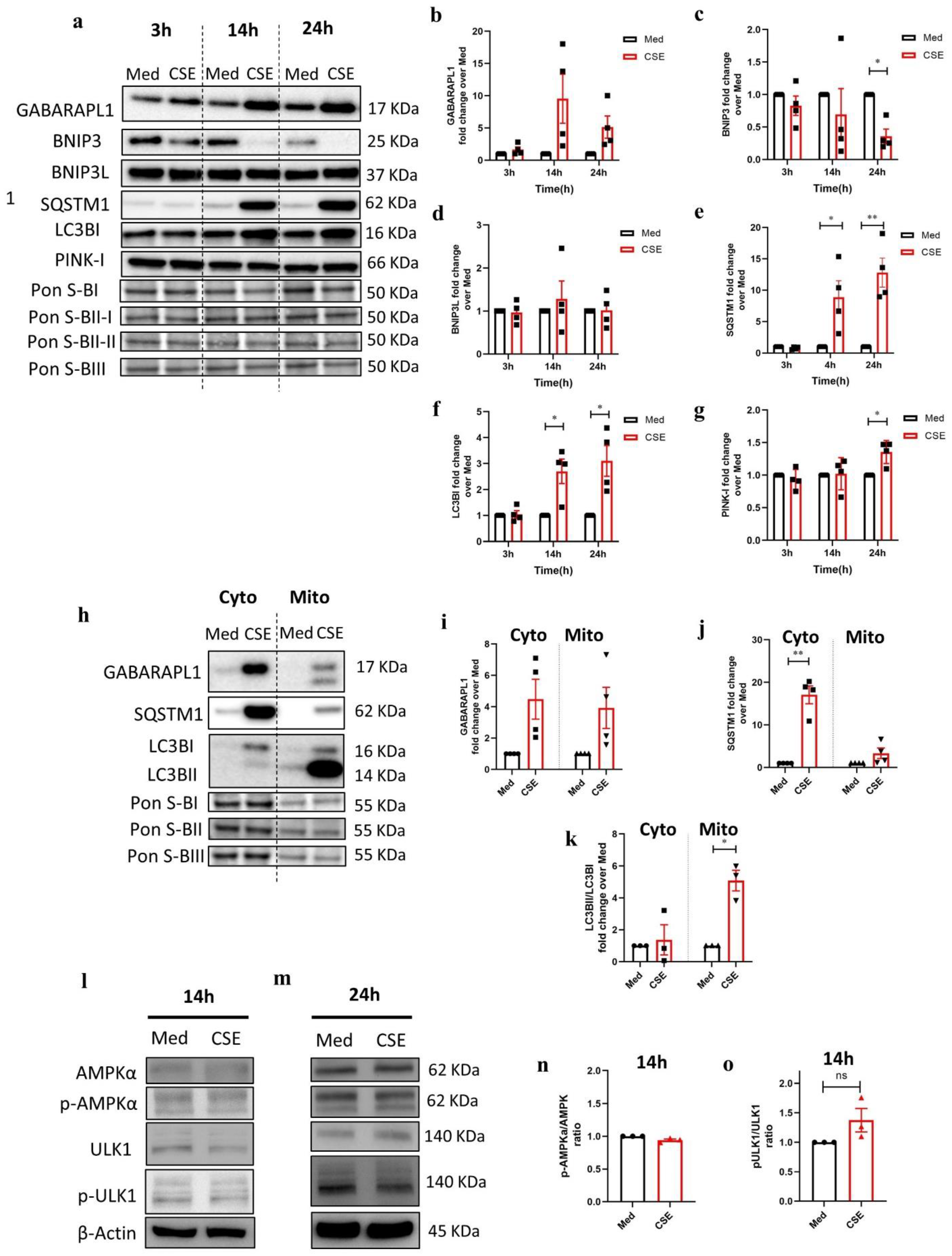 Cells 11 01771 g002 550