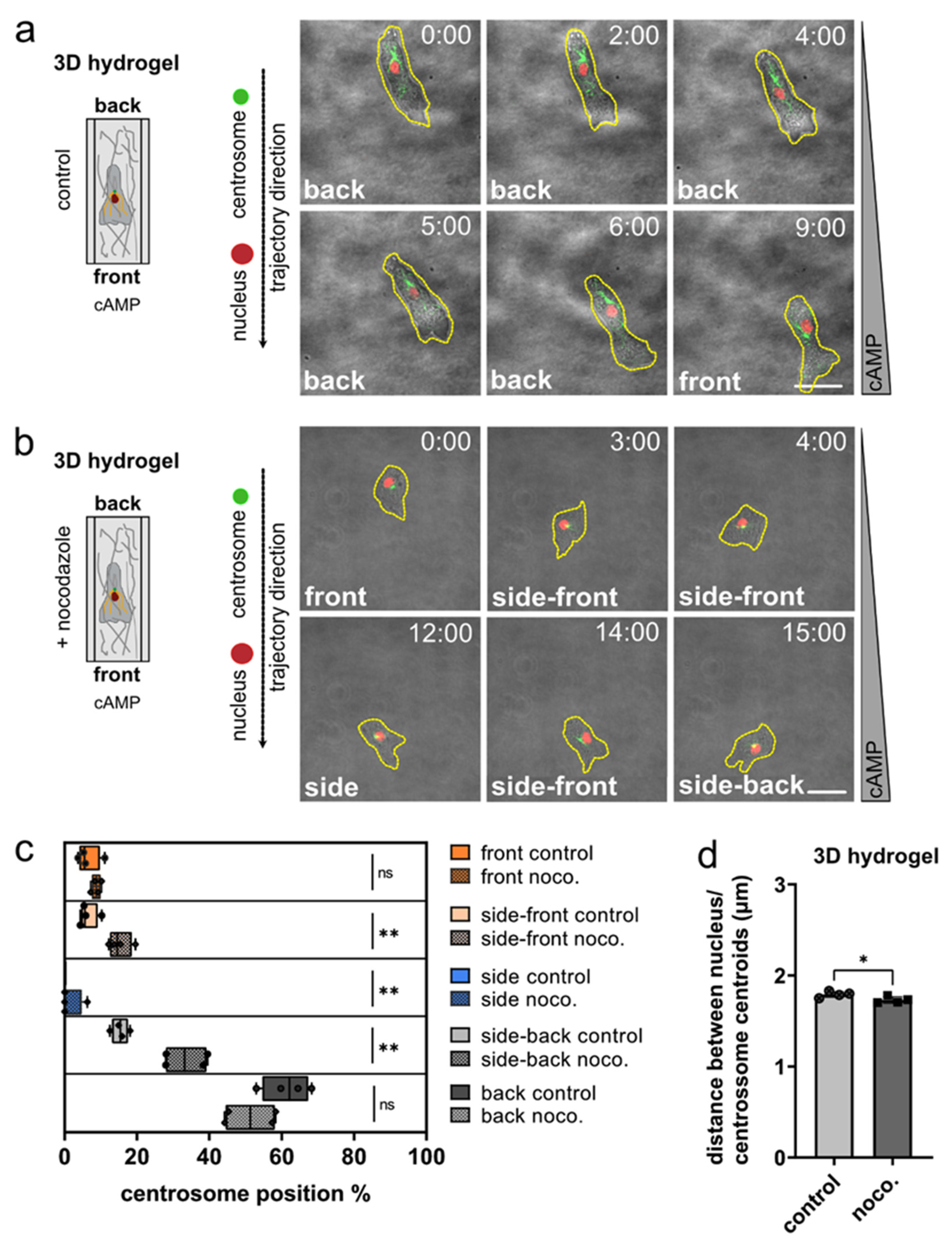Cells 11 01776 g003 550