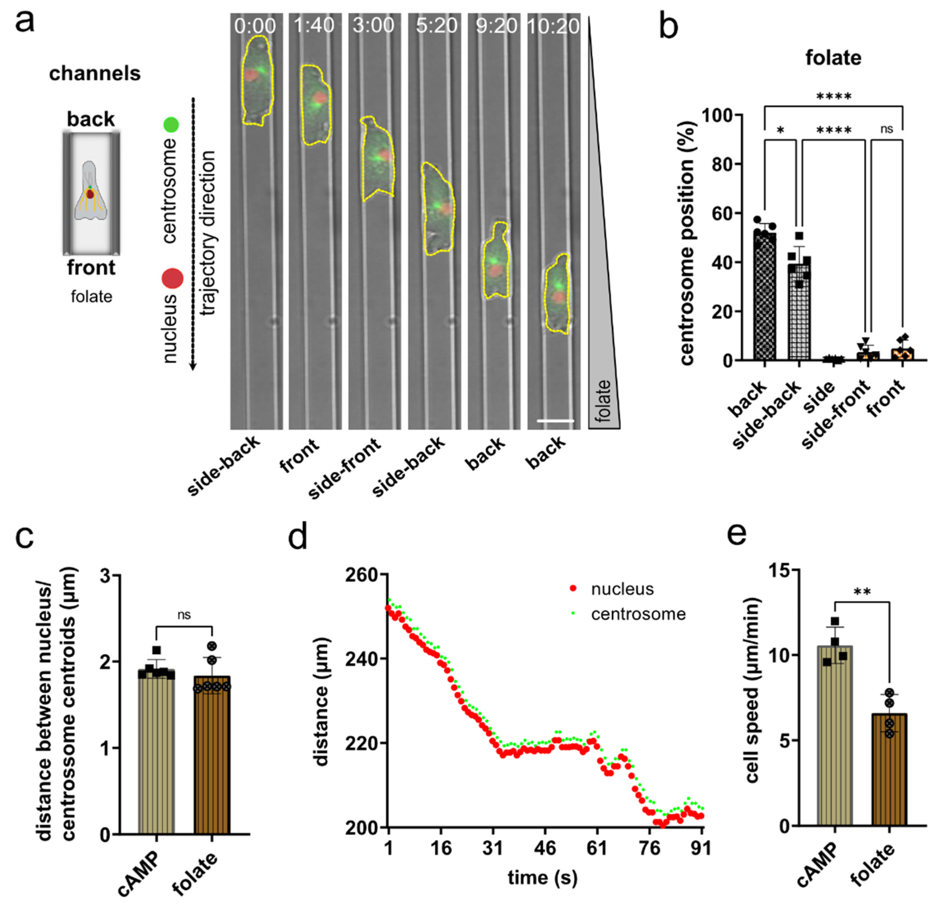 Cells 11 01776 g004 550