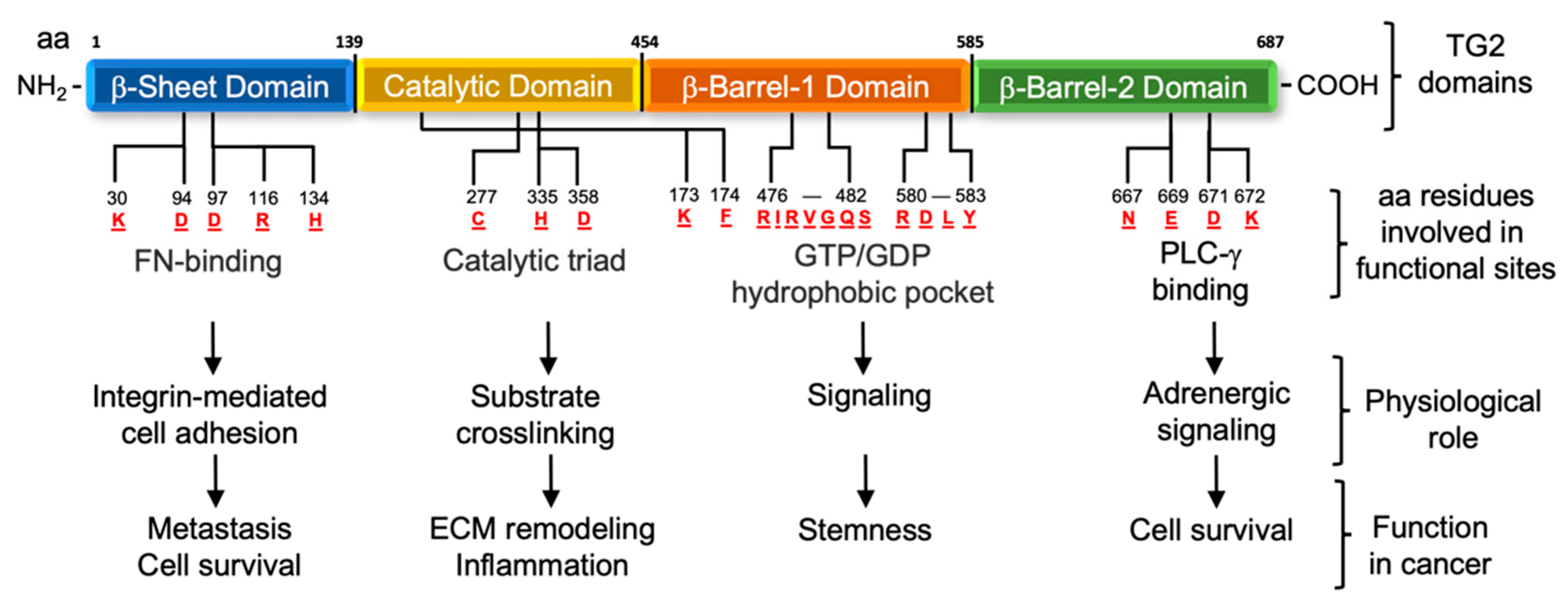 Cells 11 01779 g001 550