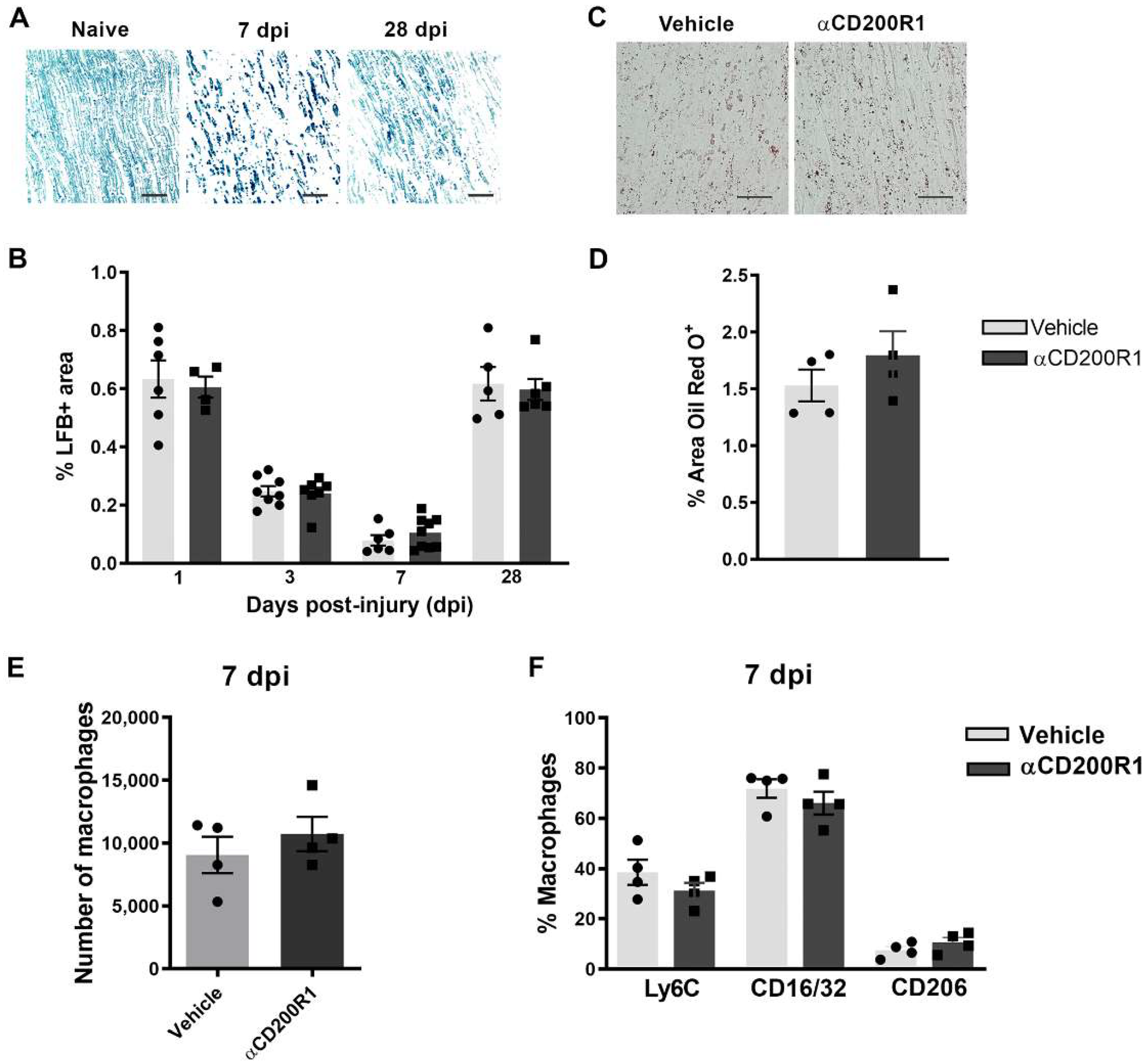 Cells 11 01786 g005 550
